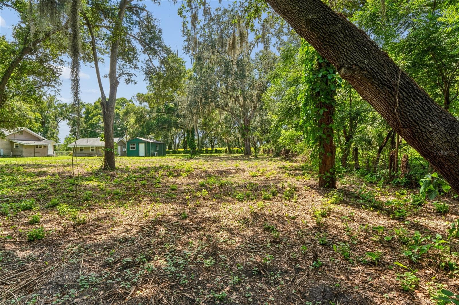 Single Family Residence at 6202 STAFFORD RD, PLANT CITY, photo 28 of 58