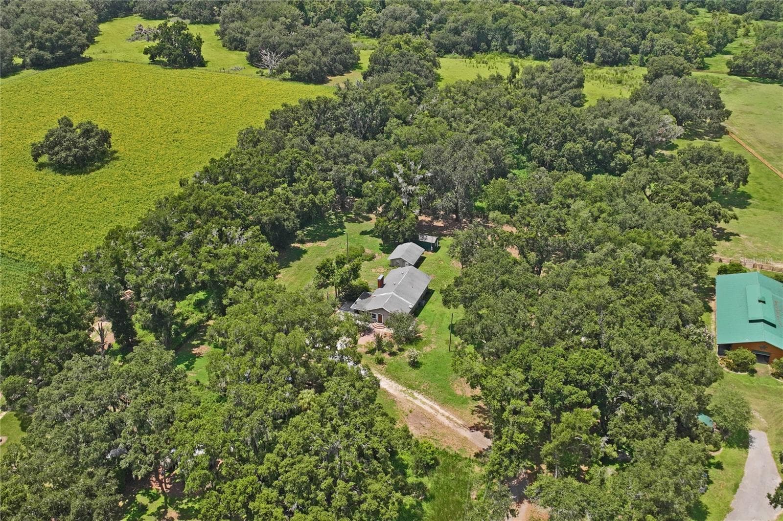 Single Family Residence at 6202 STAFFORD RD, PLANT CITY, photo 46 of 58