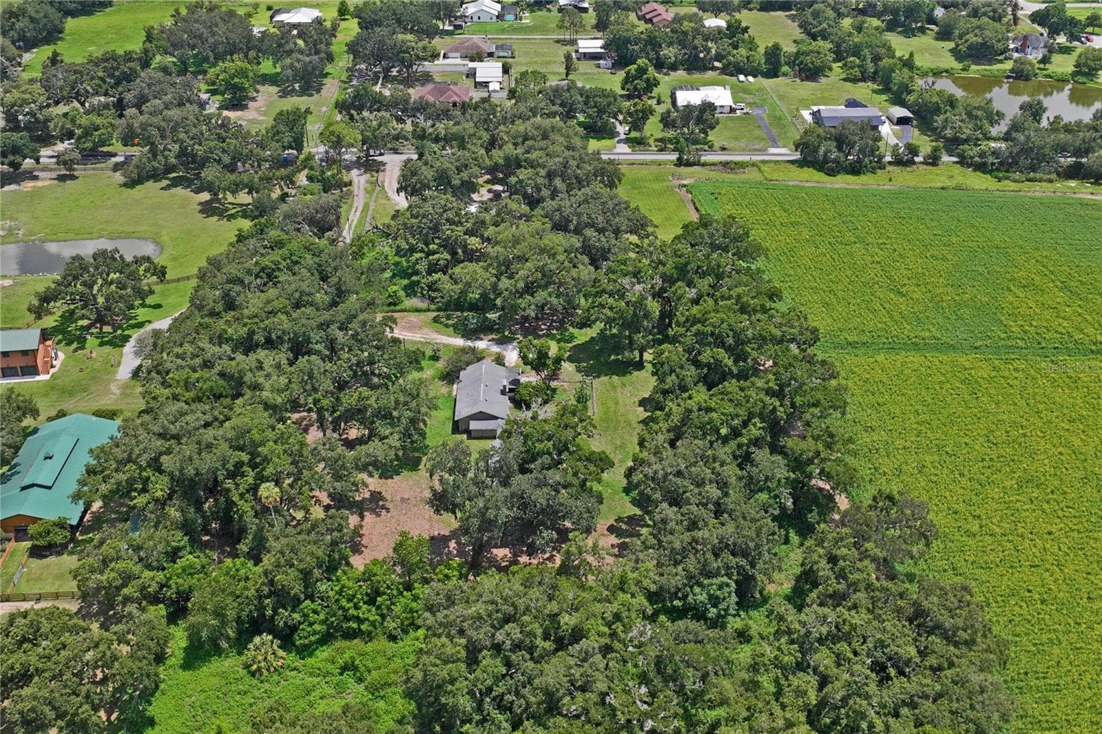 Single Family Residence at 6202 STAFFORD RD, PLANT CITY, photo 51 of 58