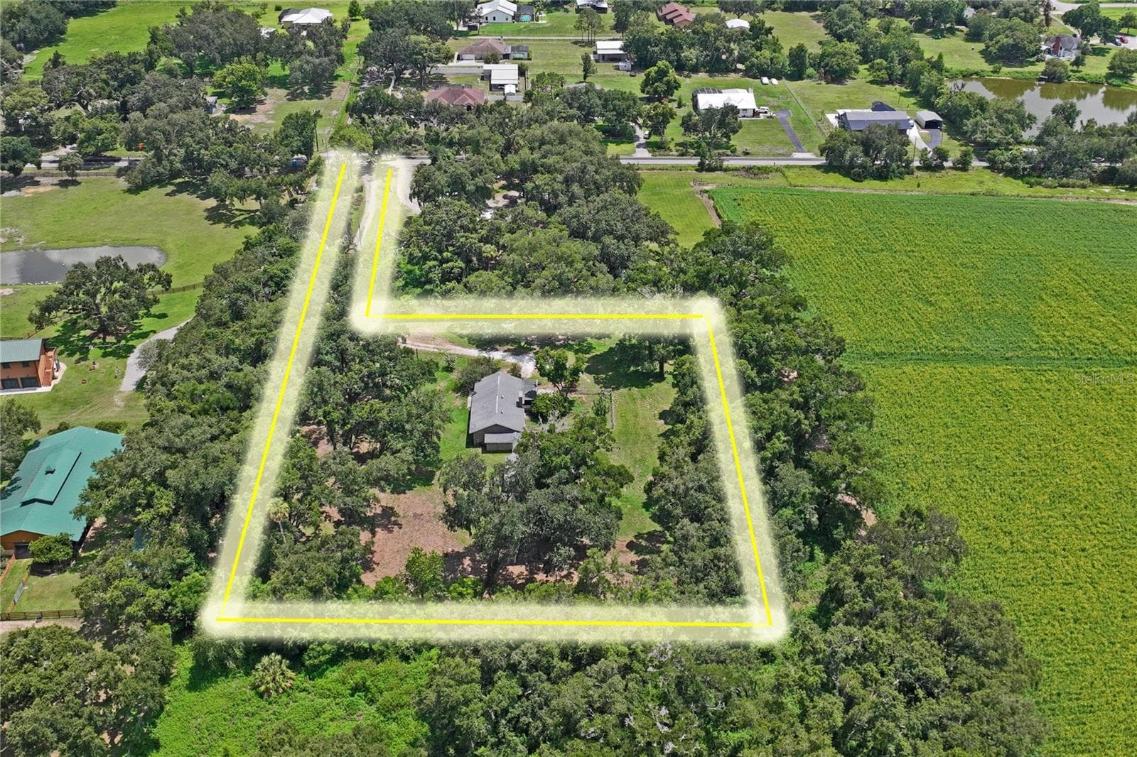Single Family Residence at 6202 STAFFORD RD, PLANT CITY, photo 52 of 58