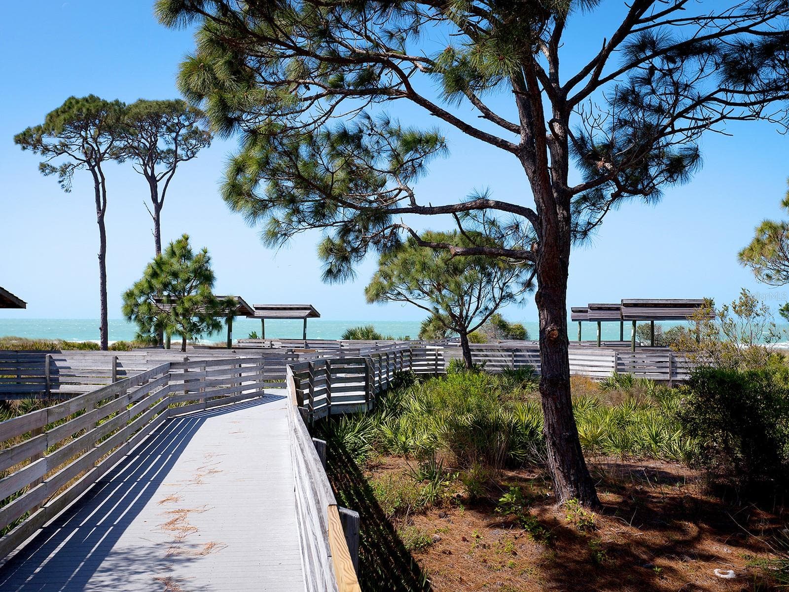 Caspersen Beach Walking Trail - 396 BAYSHORE DR, VENICE