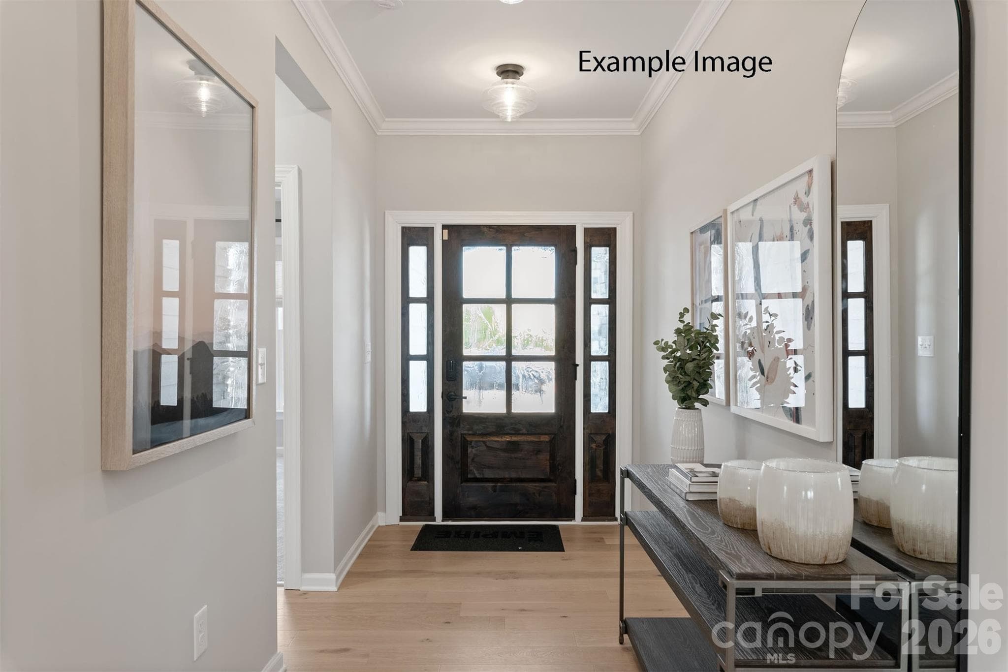 Example Photo - Foyer - Indian Trail
