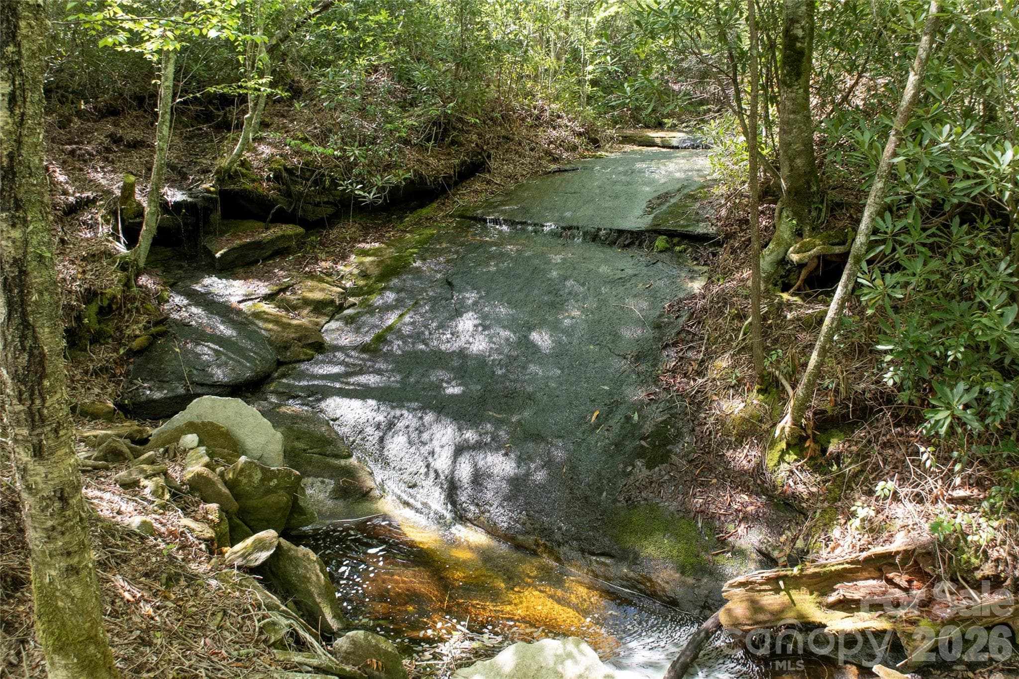 Acreage at River Camp Long Ridge Road, Lake Toxaway, photo 12 of 32