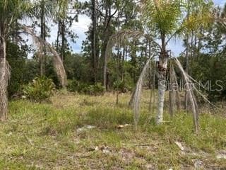 823 PANDORA (BLK 217 LOT 13) DR