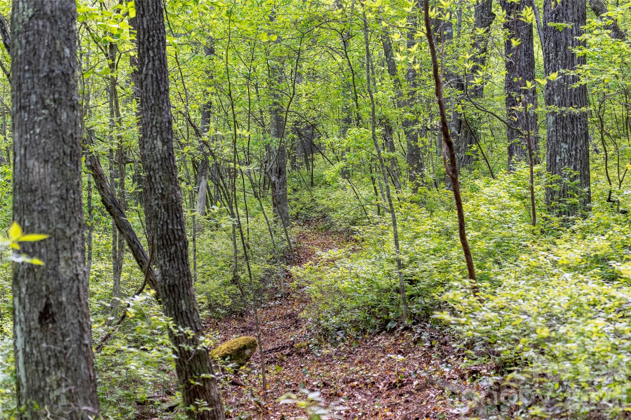 Acreage at TBD Long Ridge Road, Lake Toxaway, photo 6 of 13