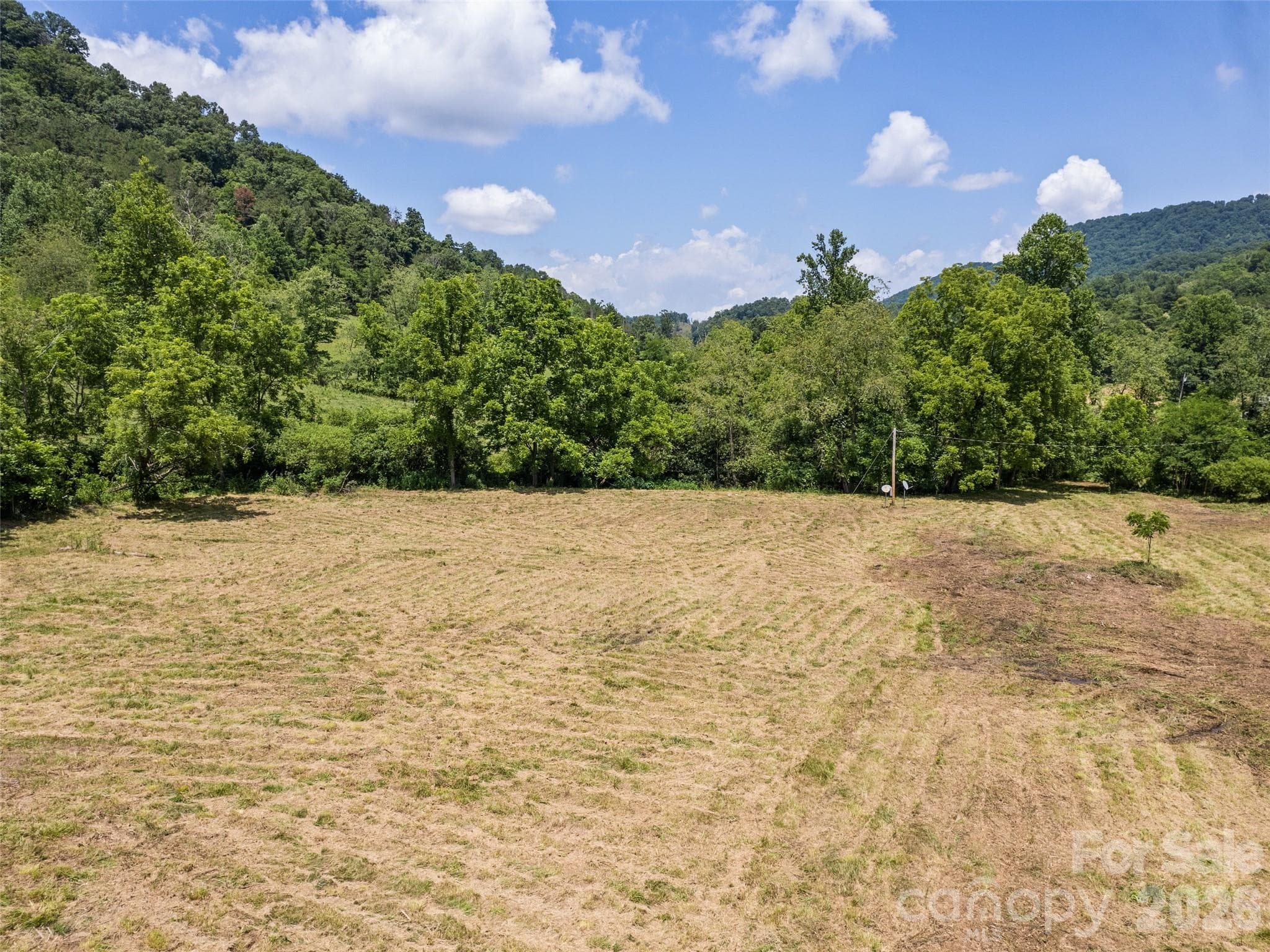 Acreage at 309 Sugar Creek Road, Leicester, photo 7 of 15