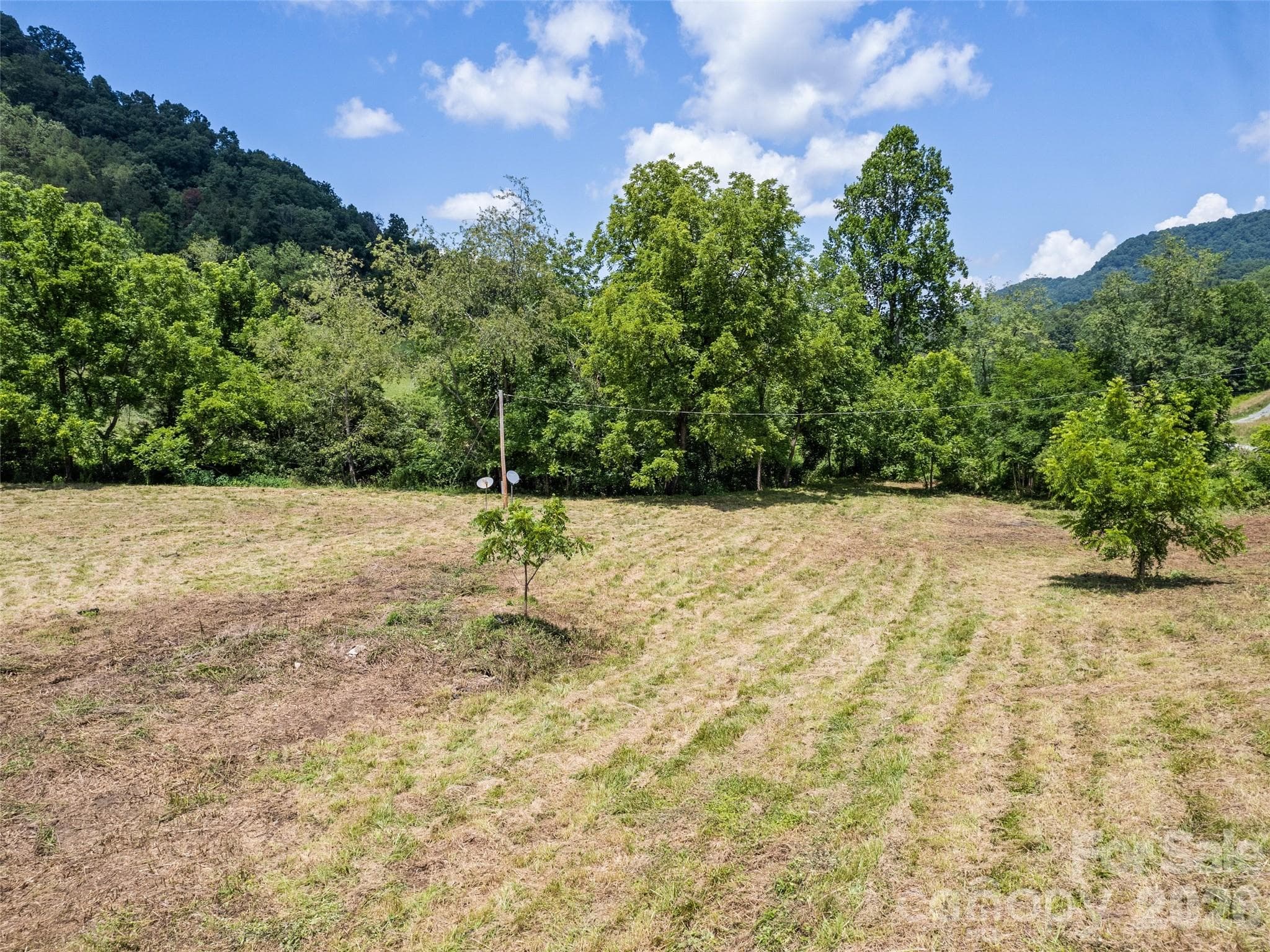 Acreage at 309 Sugar Creek Road, Leicester, photo 10 of 15