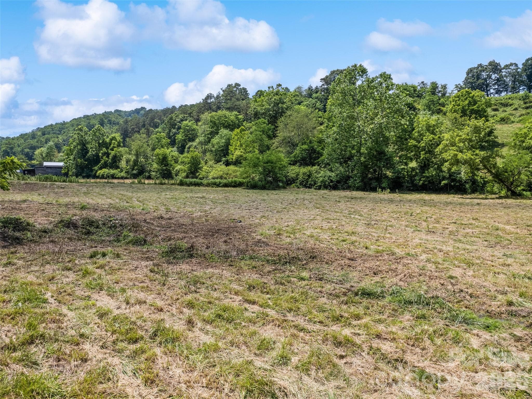 Acreage at 309 Sugar Creek Road, Leicester, photo 12 of 15