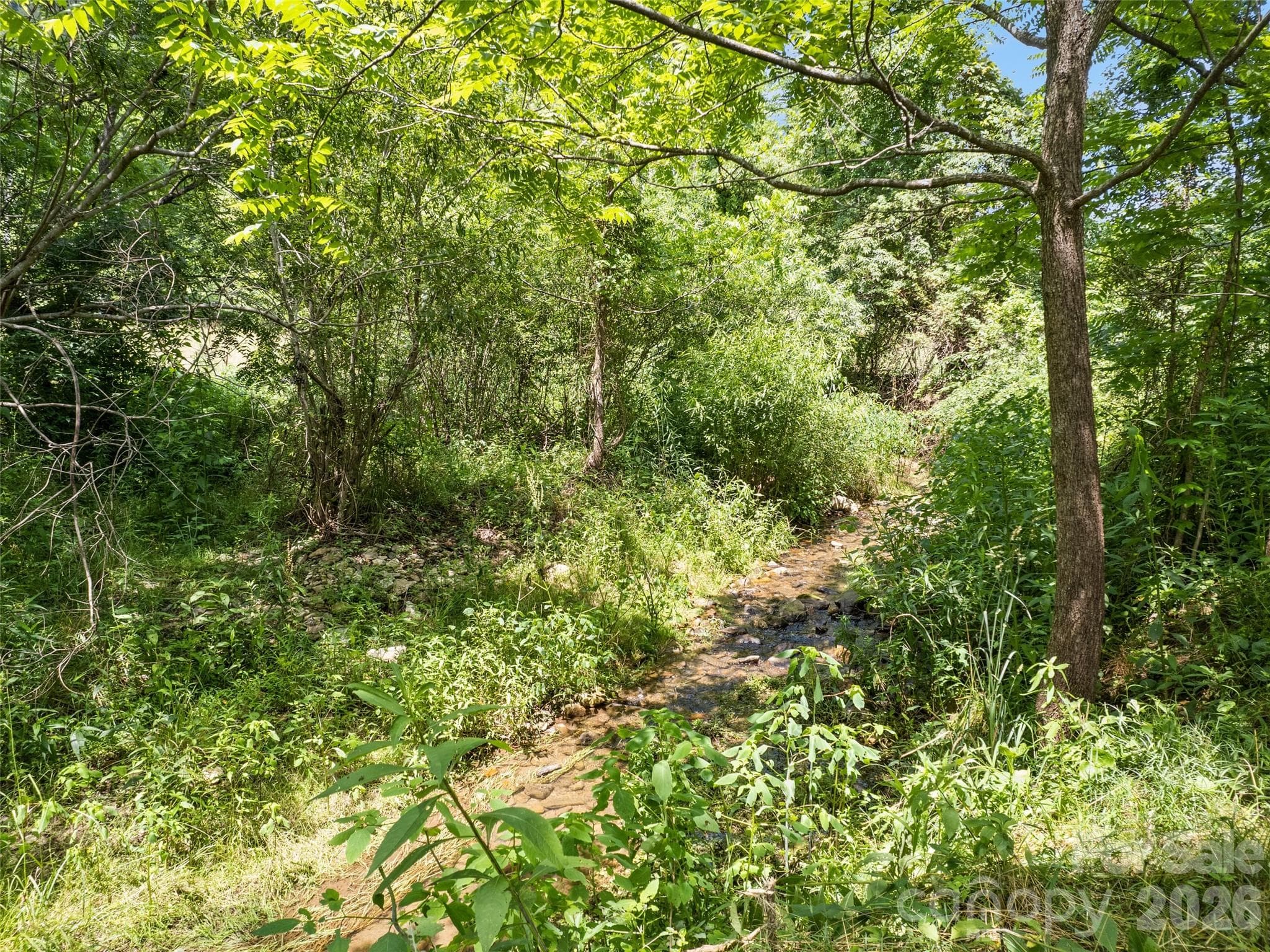 Acreage at 309 Sugar Creek Road, Leicester, photo 13 of 15