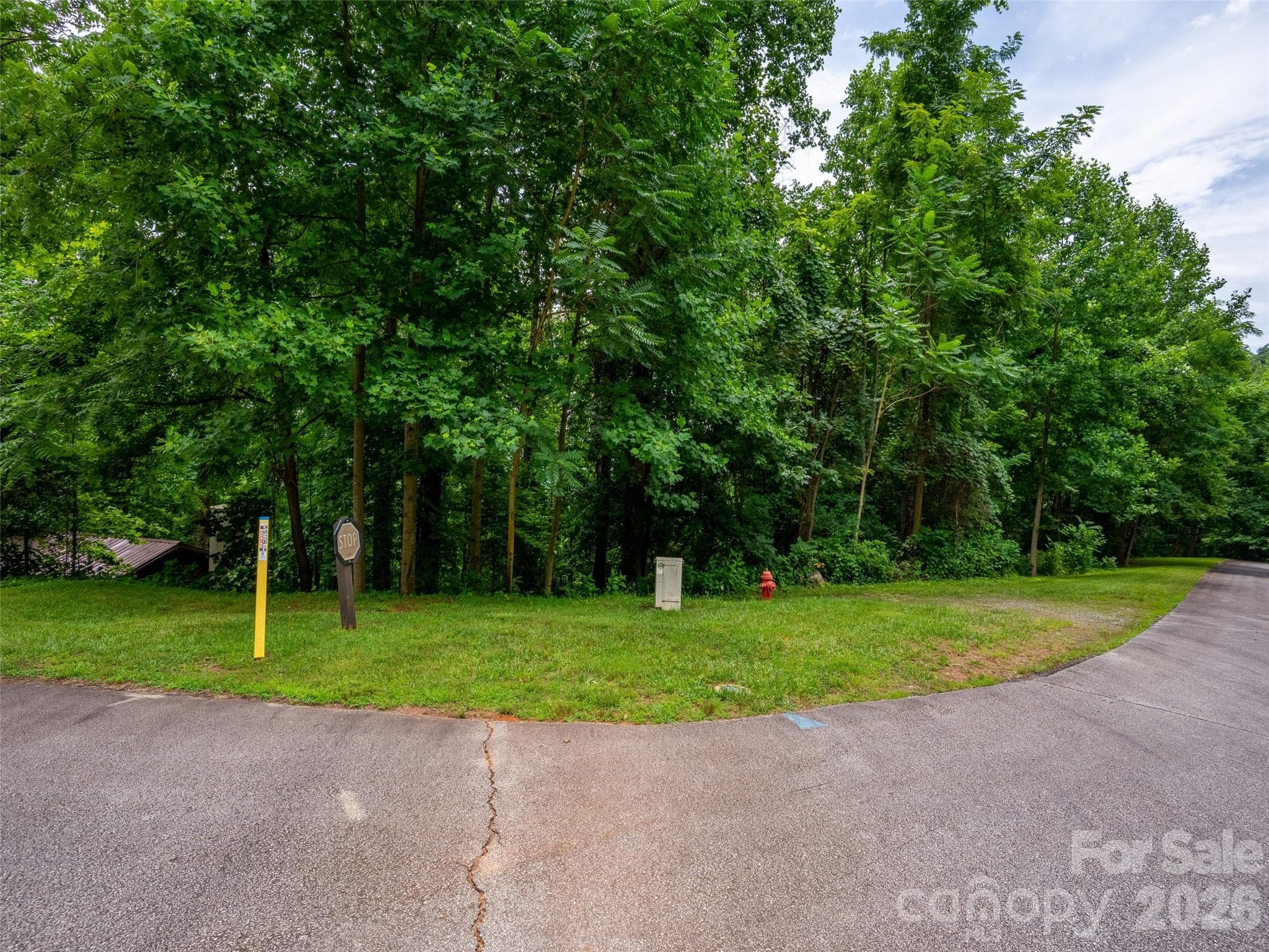 Lot at 236 Nottingham Drive, Mill Spring, photo 3 of 19