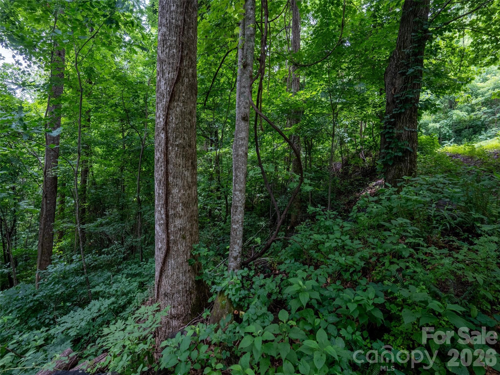 Lot at 236 Nottingham Drive, Mill Spring, photo 5 of 19