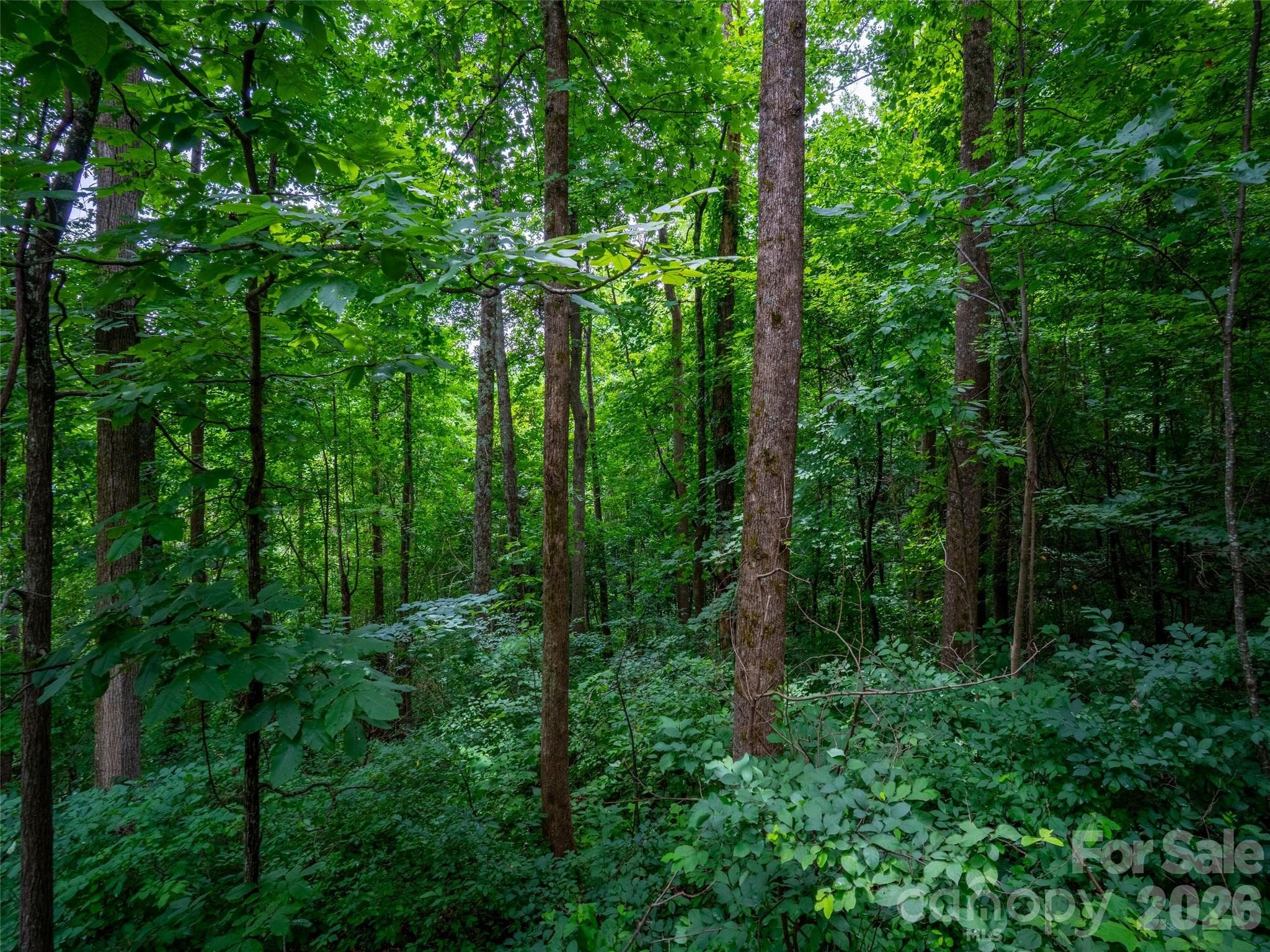 Lot at 236 Nottingham Drive, Mill Spring, photo 6 of 19