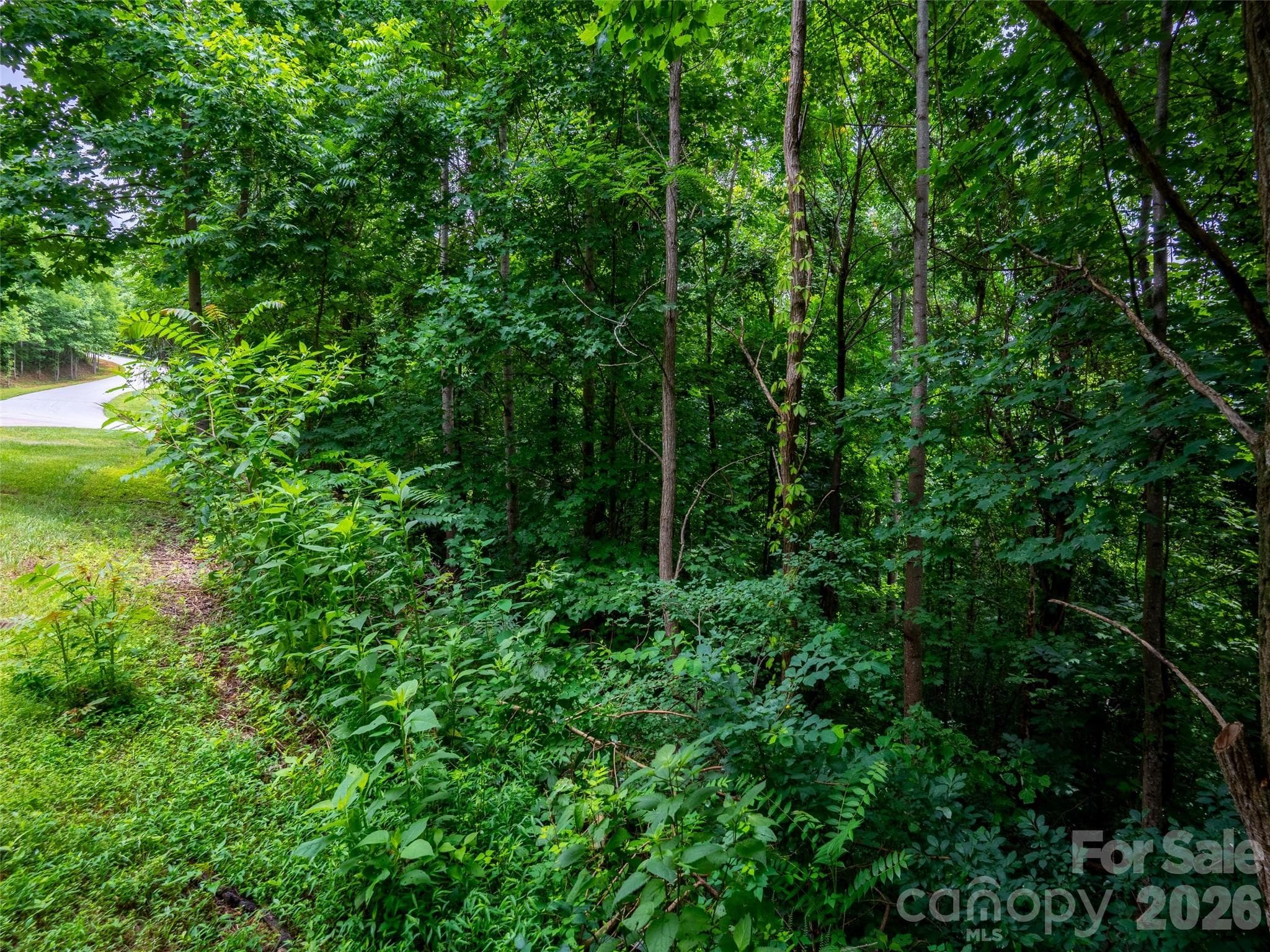 Lot at 236 Nottingham Drive, Mill Spring, photo 7 of 19