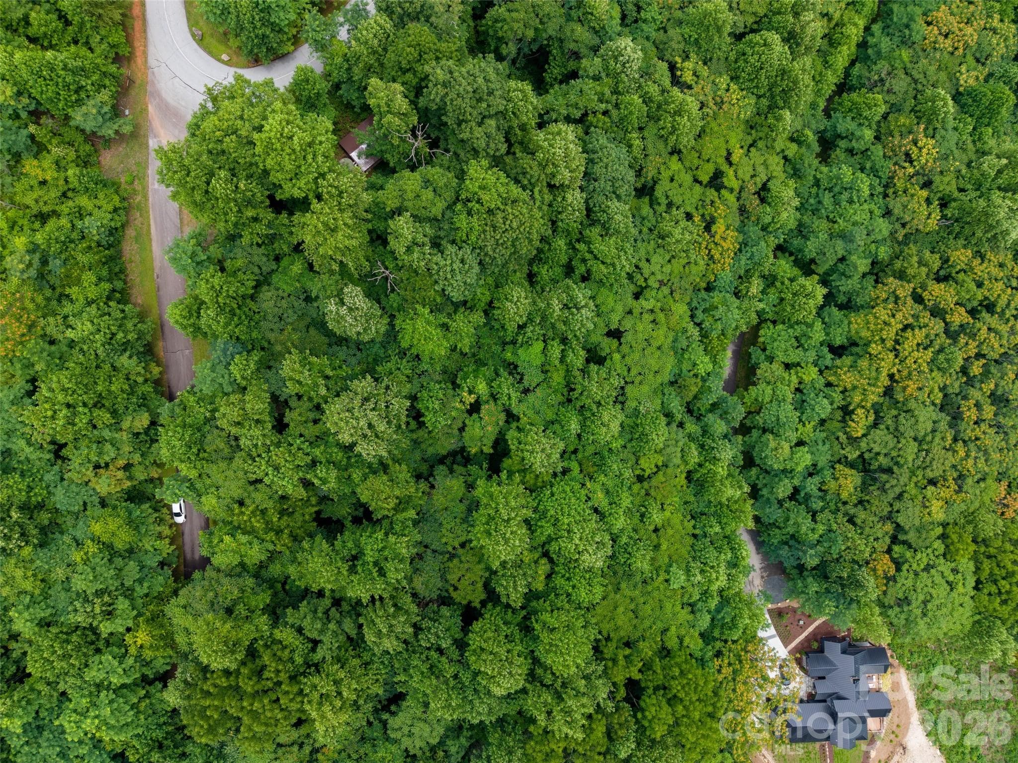 Lot at 236 Nottingham Drive, Mill Spring, photo 9 of 19