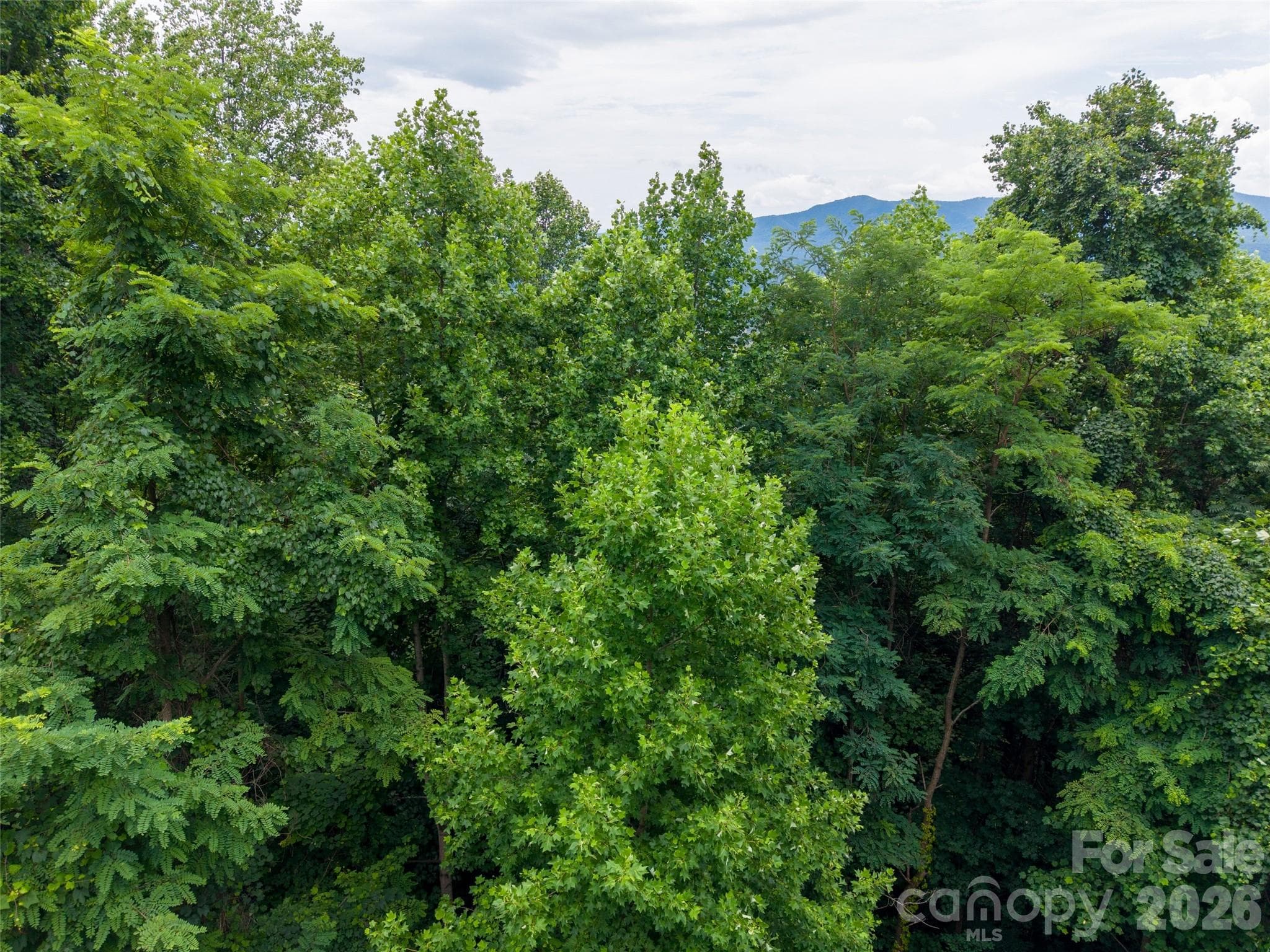 Lot at 236 Nottingham Drive, Mill Spring, photo 12 of 19