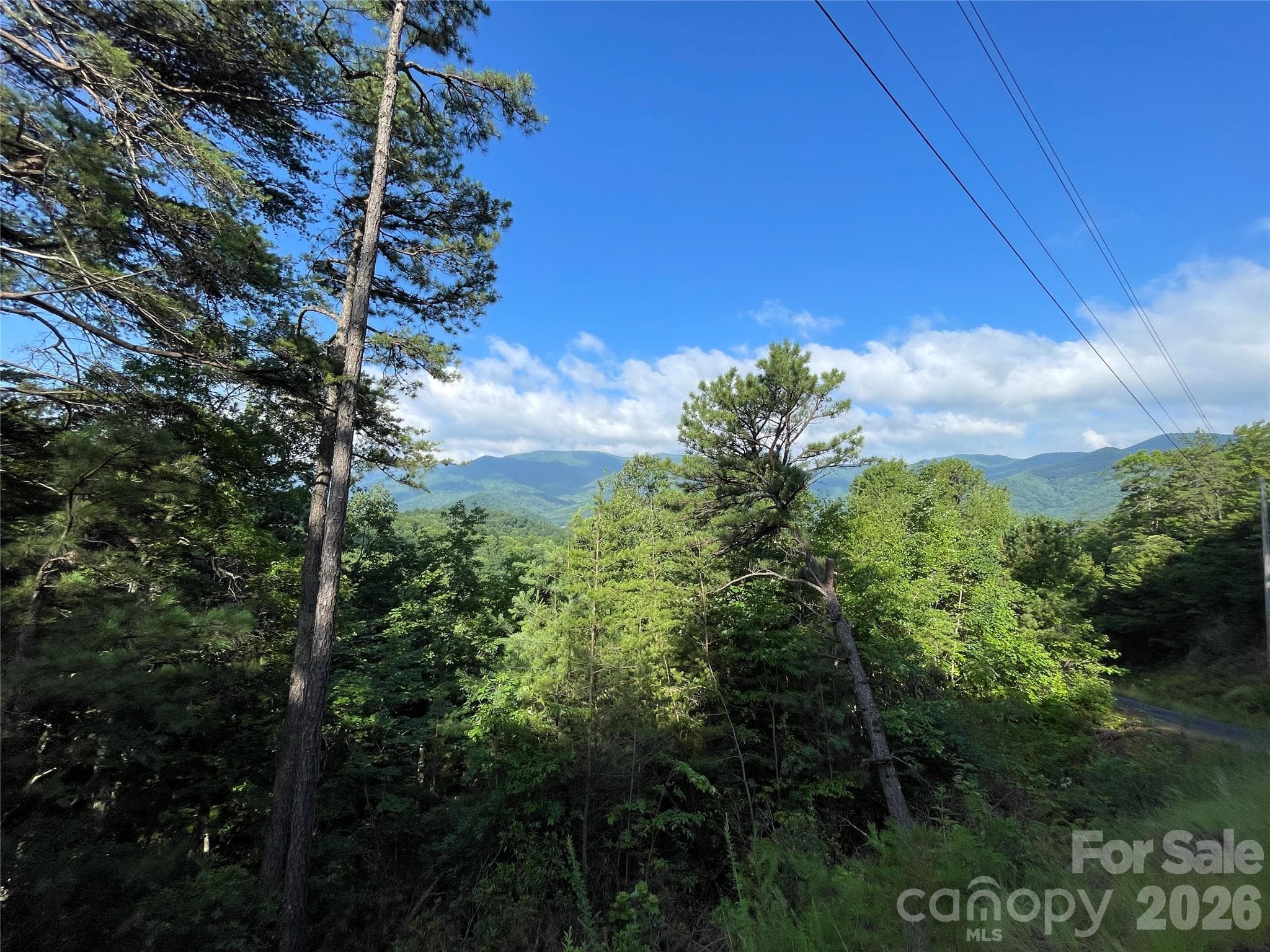 Lot at 225 Lucerne Drive, Canton, photo 4 of 37