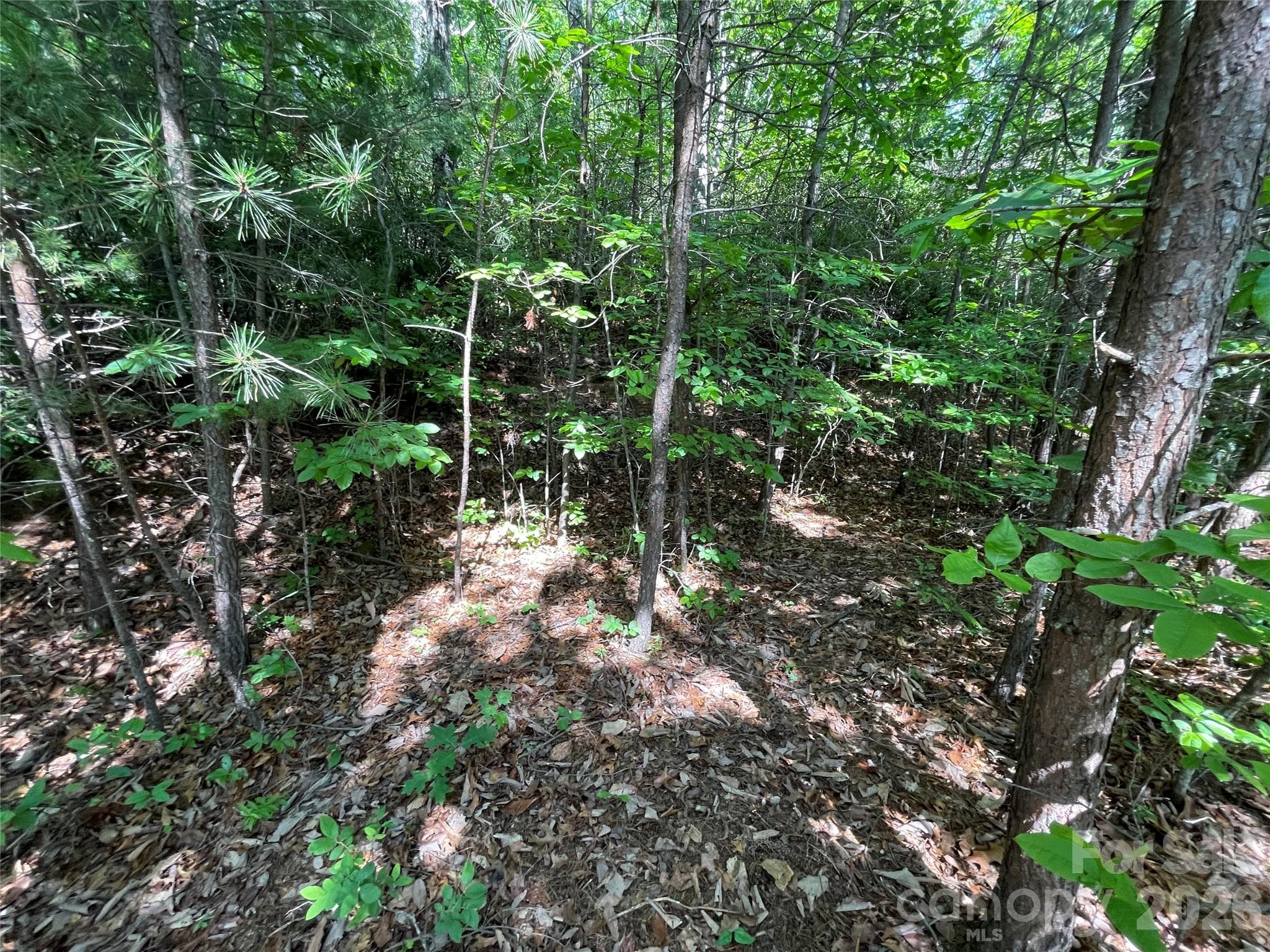 Lot at 225 Lucerne Drive, Canton, photo 13 of 37