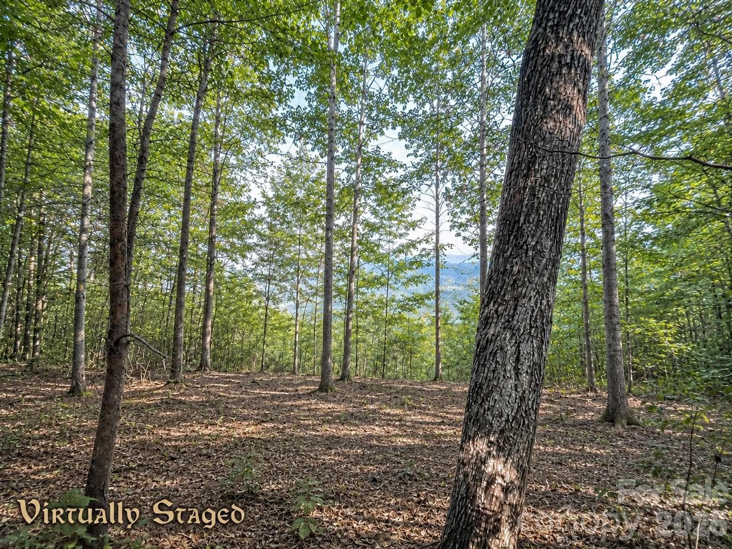 Lot at 225 Lucerne Drive, Canton, photo 16 of 37