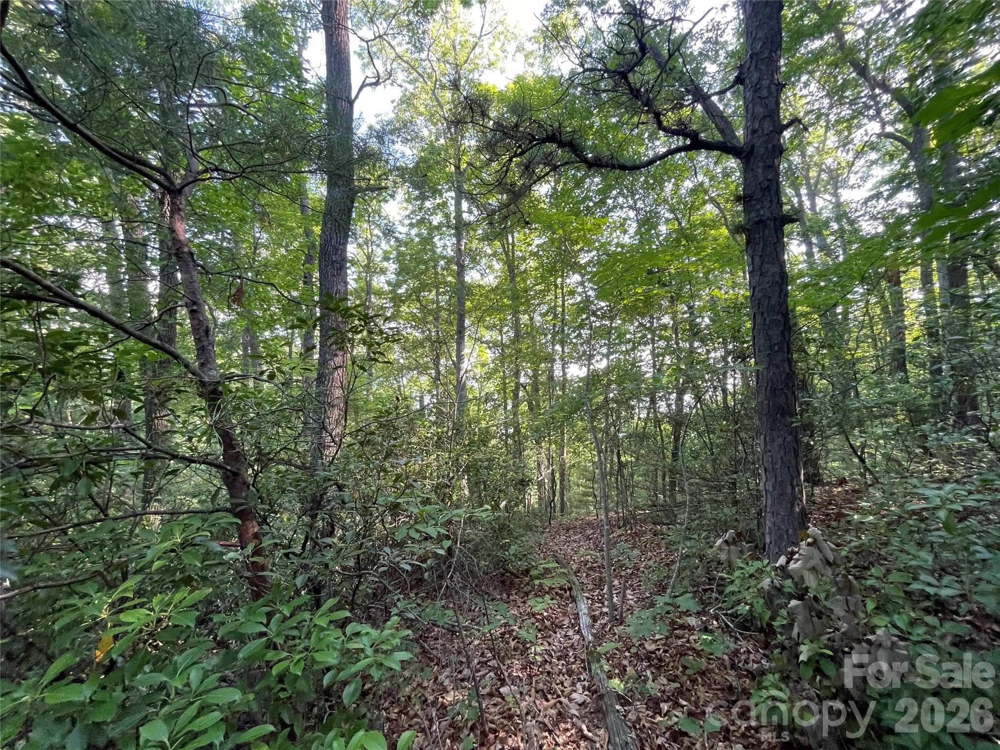 Lot at 225 Lucerne Drive, Canton, photo 17 of 37