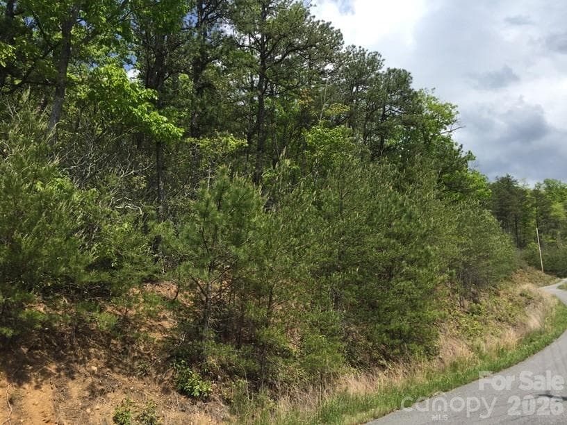 Lot at 225 Lucerne Drive, Canton, photo 27 of 37
