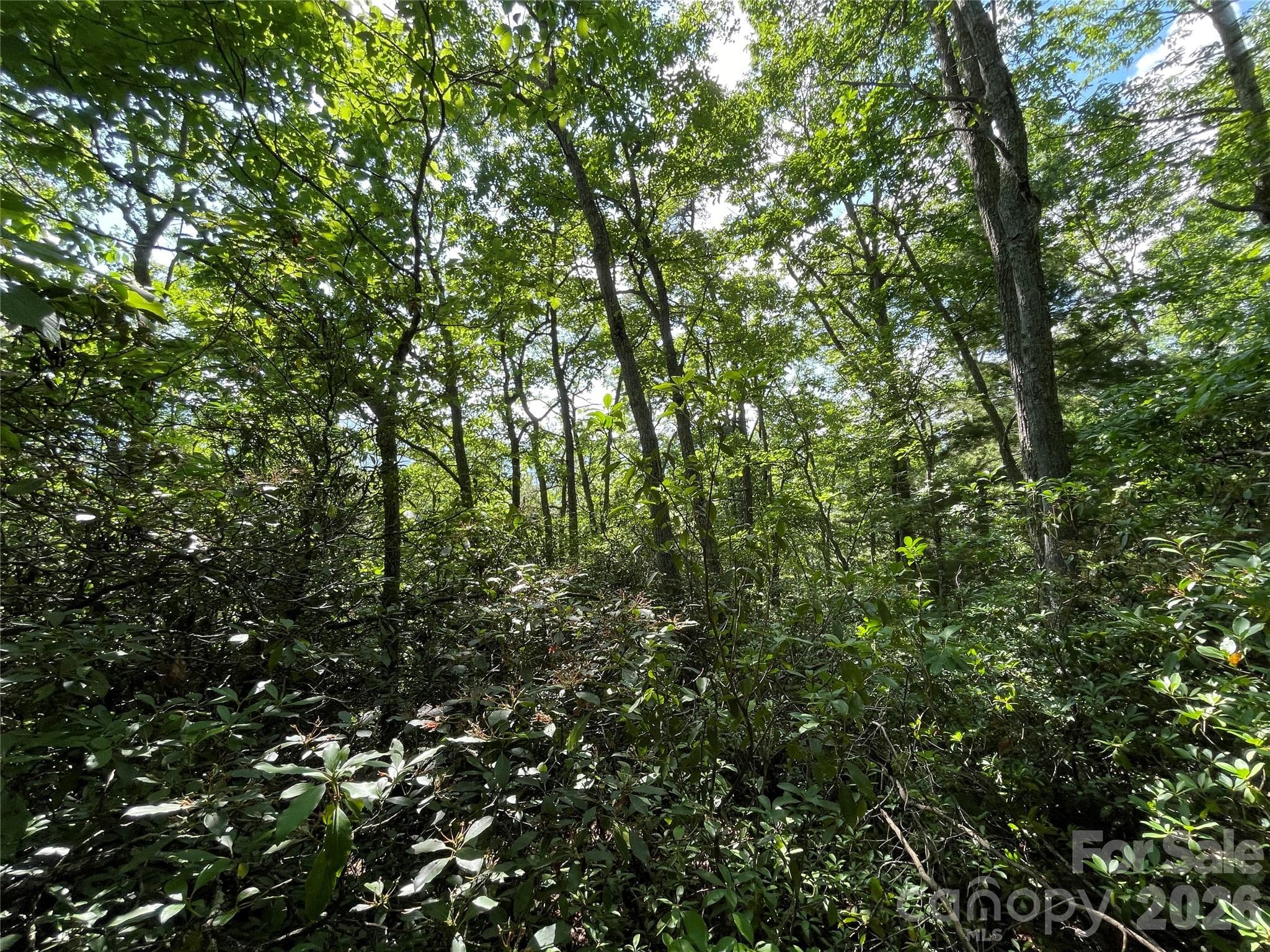 Lot at 225 Lucerne Drive, Canton, photo 28 of 37