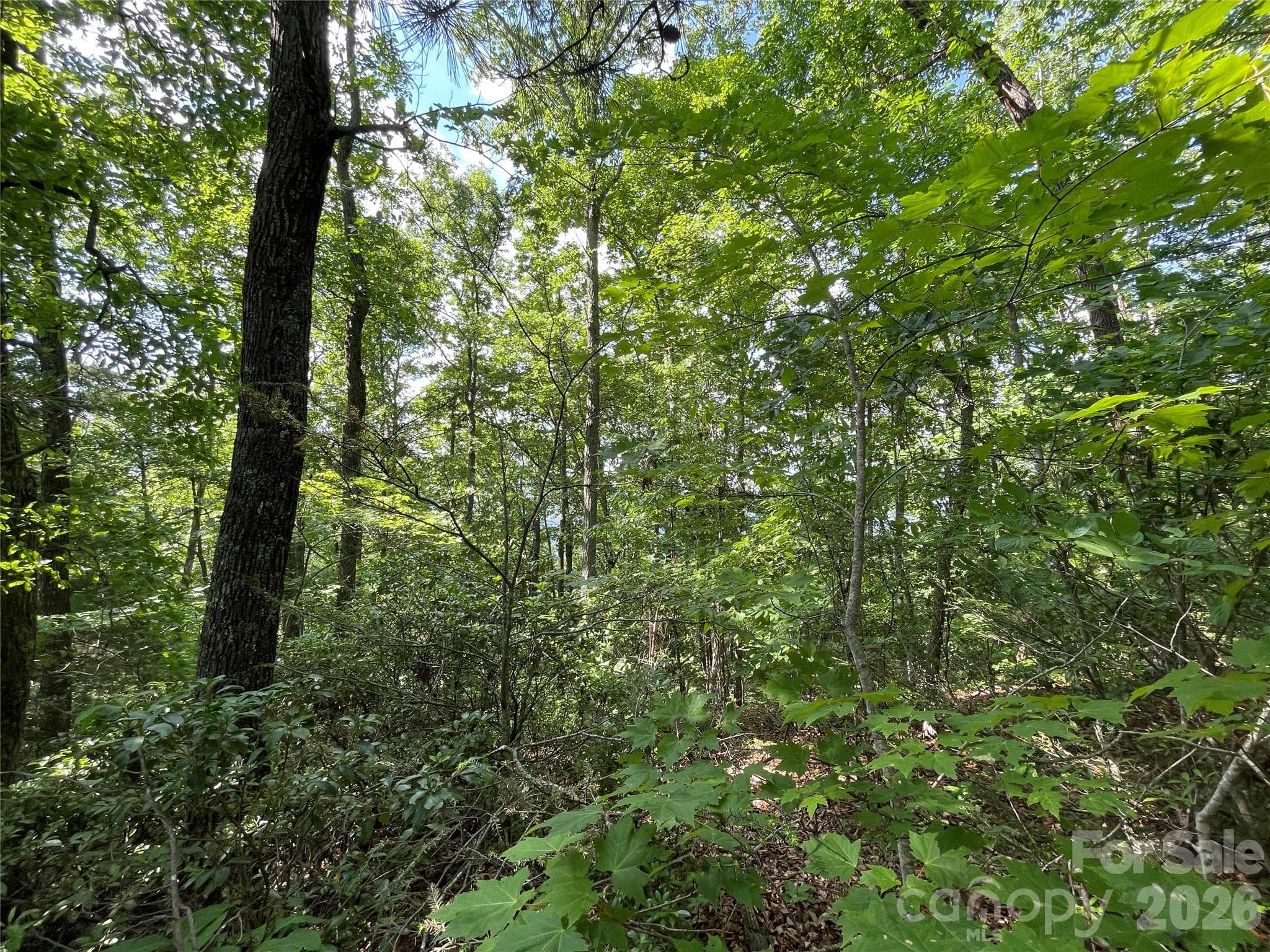 Lot at 225 Lucerne Drive, Canton, photo 29 of 37