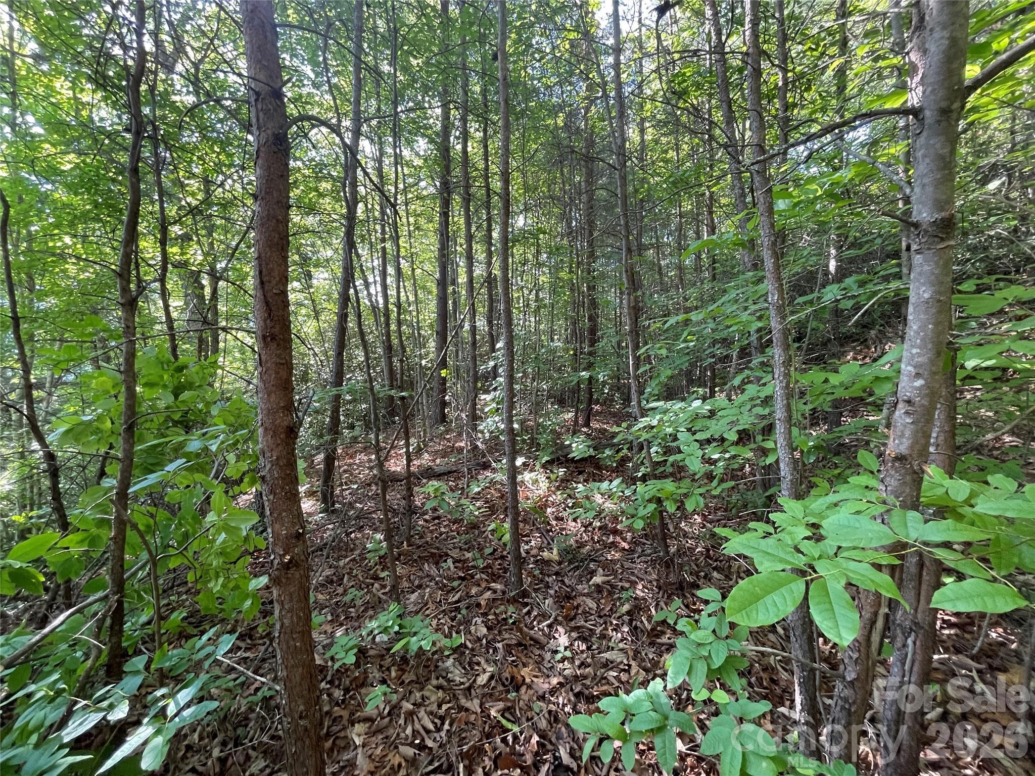 Lot at 225 Lucerne Drive, Canton, photo 30 of 37