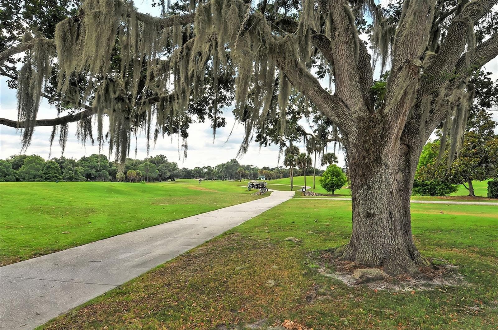 Enjoy your golf! - 4360 BRANDYWINE DR, SARASOTA