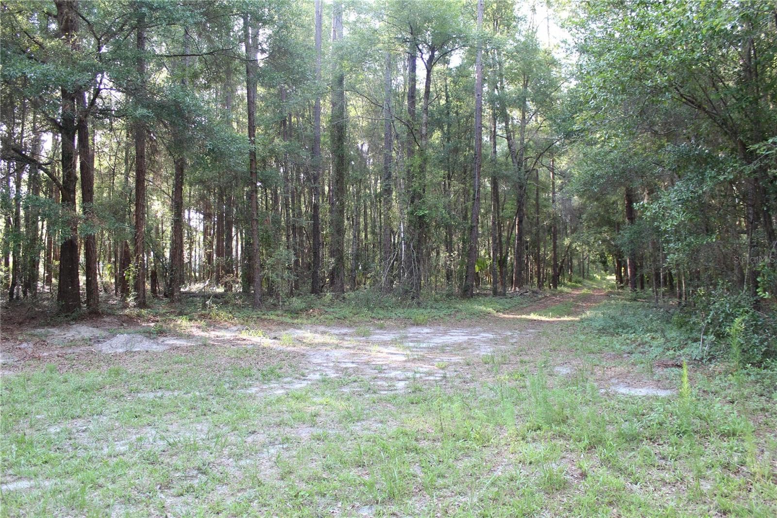 Land at 15821 SW 50TH AVE, ARCHER, photo 4 of 22