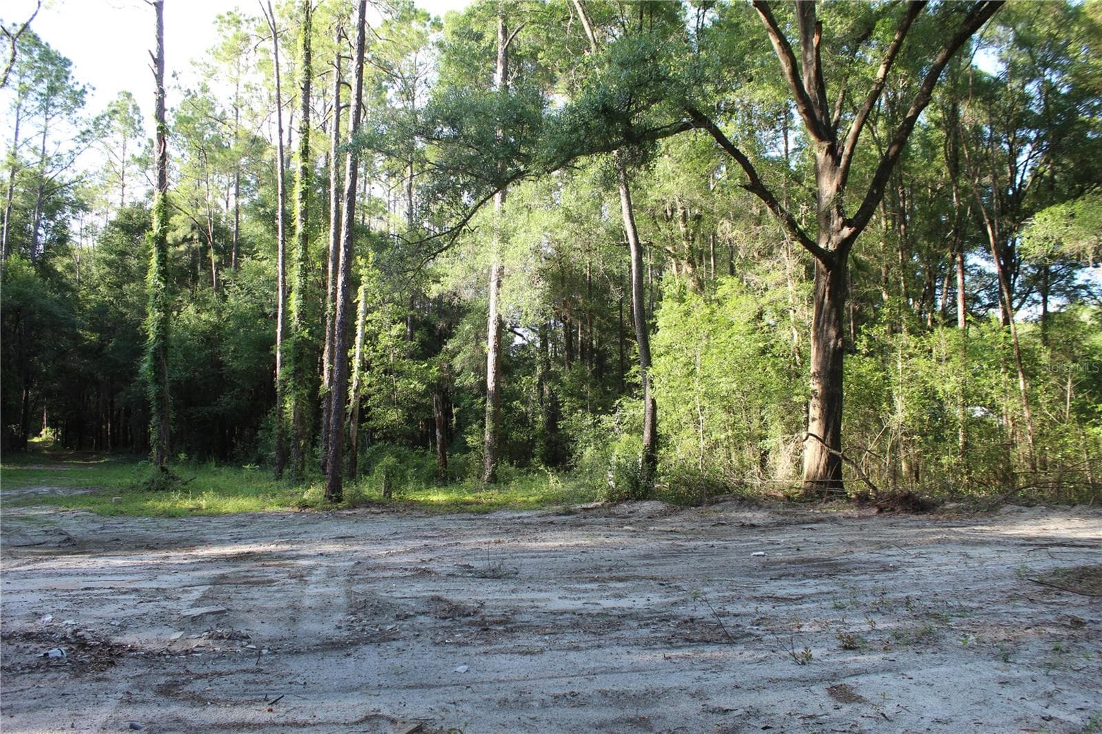 Land at 15821 SW 50TH AVE, ARCHER, photo 10 of 22