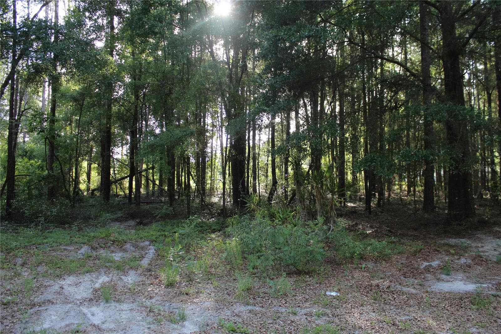 Land at 15821 SW 50TH AVE, ARCHER, photo 12 of 22