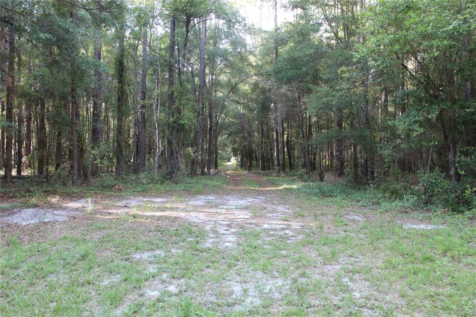 Land at 15821 SW 50TH AVE, ARCHER, photo 13 of 22