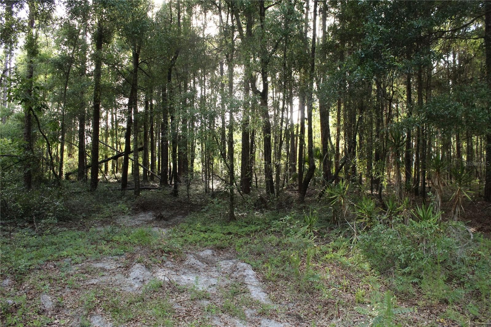 Land at 15821 SW 50TH AVE, ARCHER, photo 14 of 22