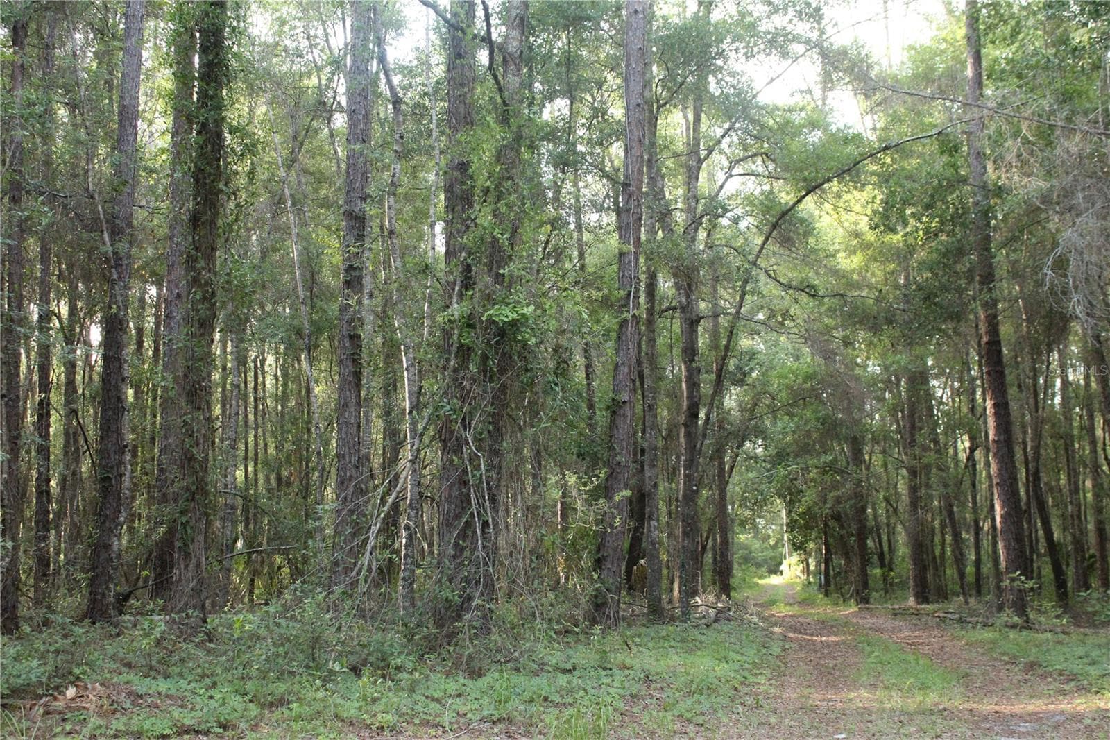 Land at 15821 SW 50TH AVE, ARCHER, photo 15 of 22