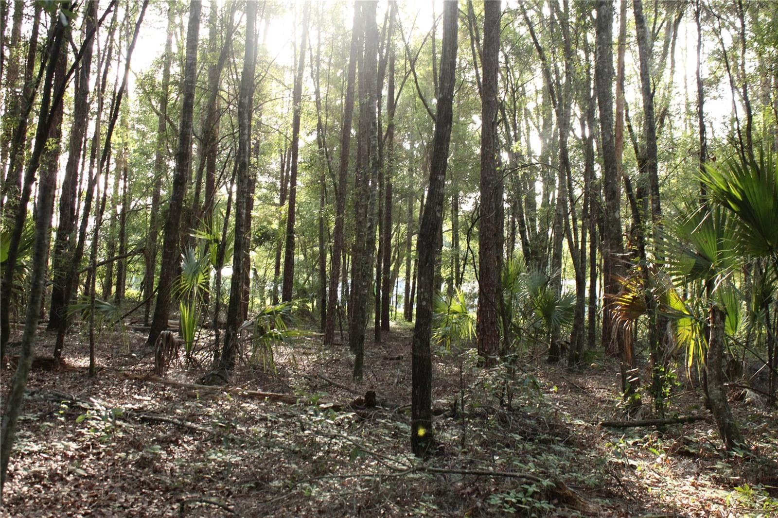 Land at 15821 SW 50TH AVE, ARCHER, photo 21 of 22