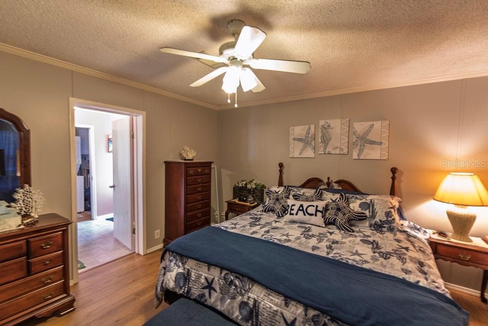 Master Bedroom - 51 AMSTERDAM AVE, PUNTA GORDA
