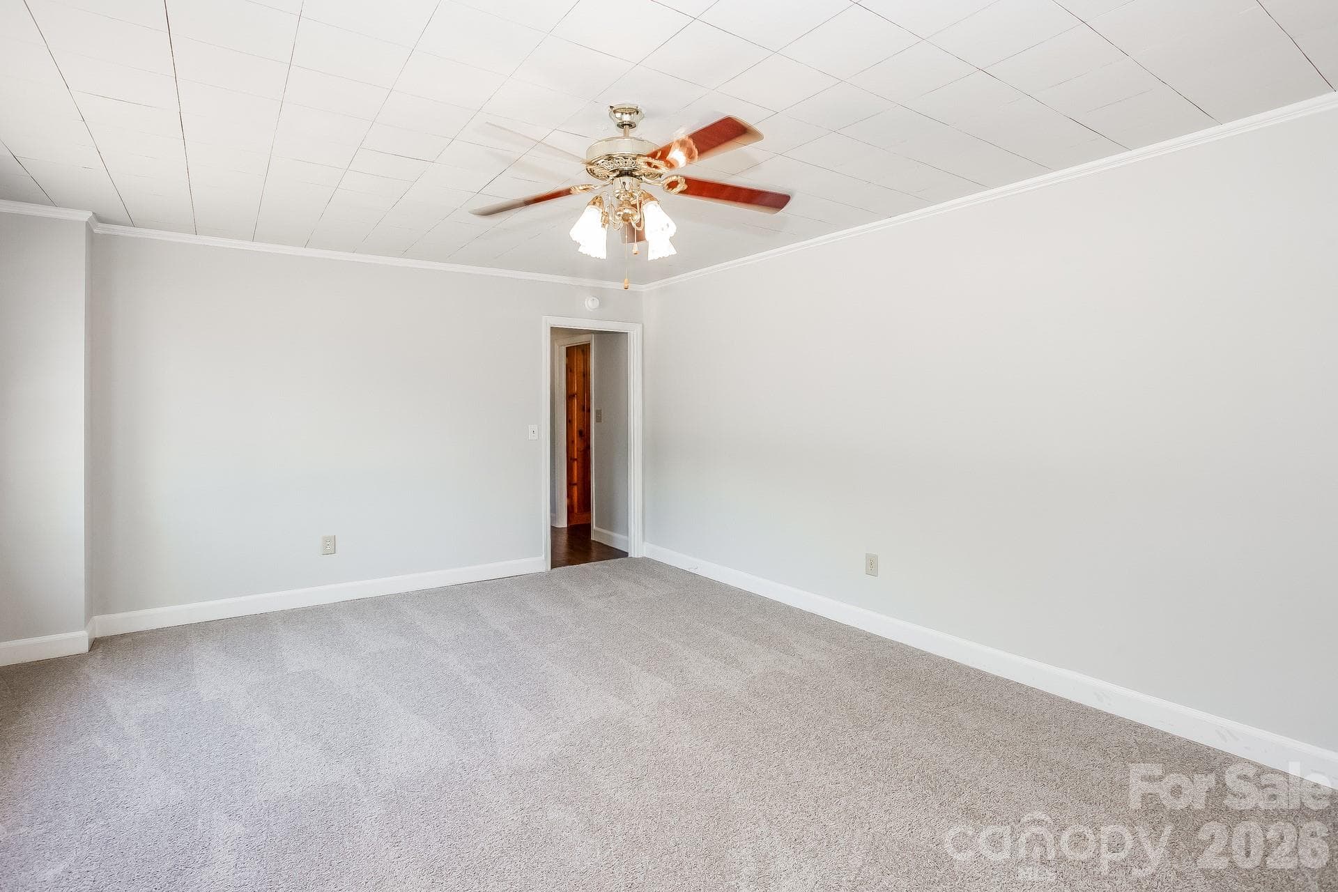 Single Family Residence at 113 Griggs Street, Pageland, photo 19 of 19
