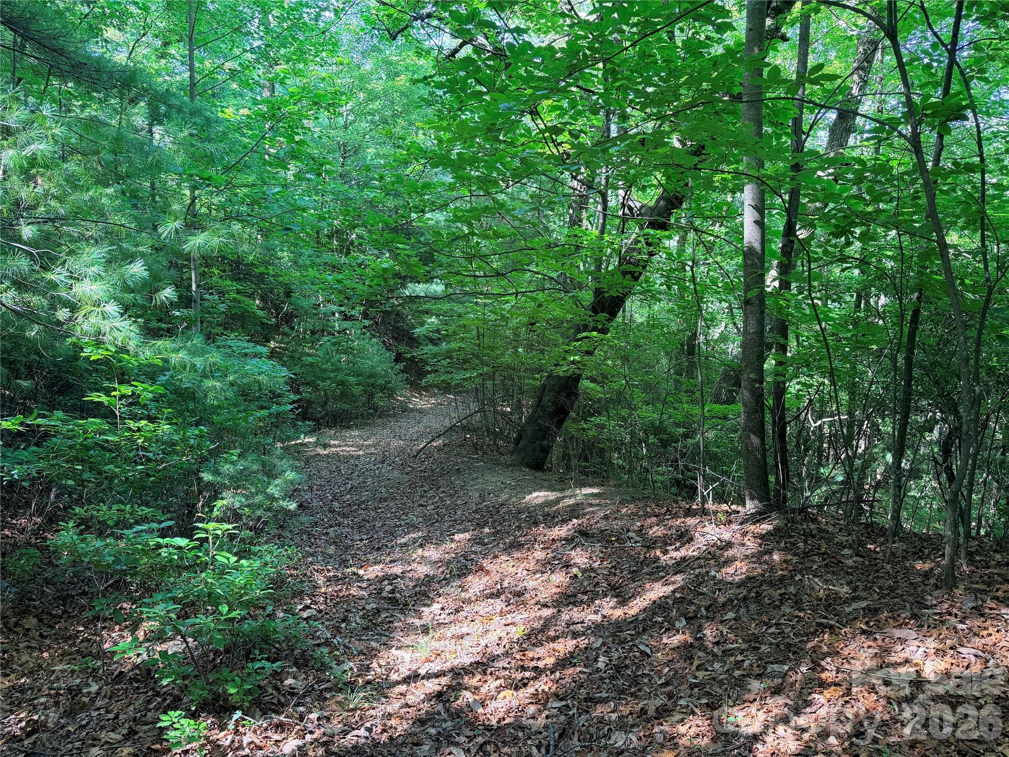 Lot at TBD Blue Rock Road, Purlear, photo 12 of 47