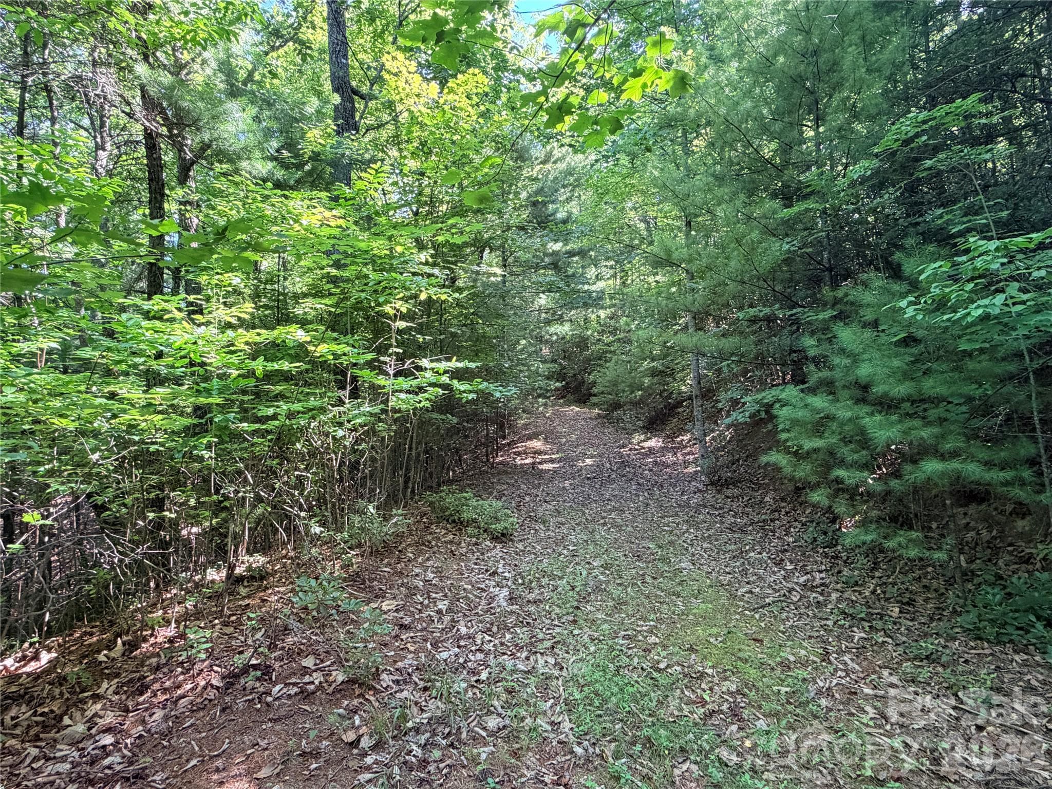 Lot at TBD Blue Rock Road, Purlear, photo 13 of 47
