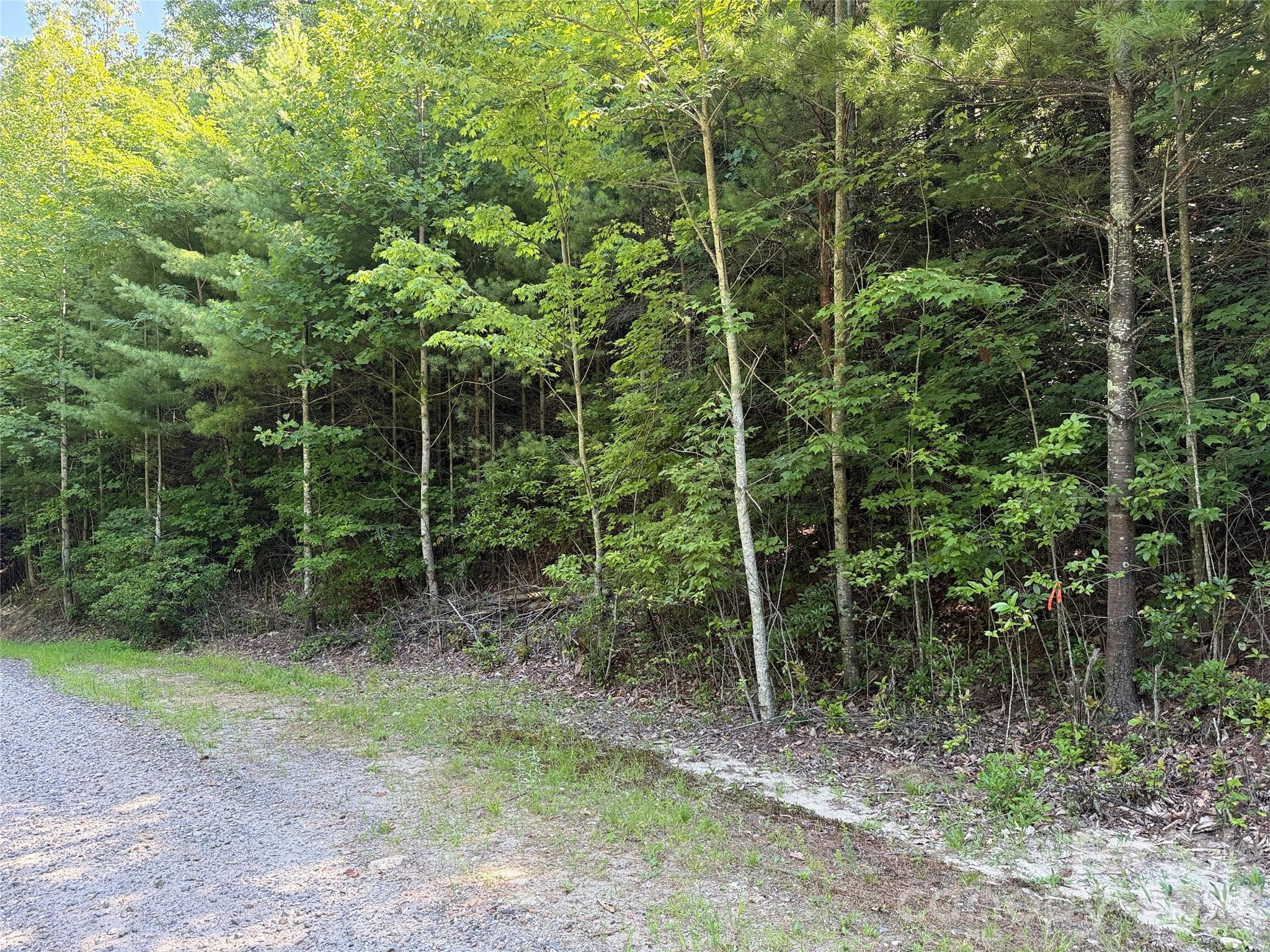 Lot 172B - TBD Blue Rock Road, Purlear