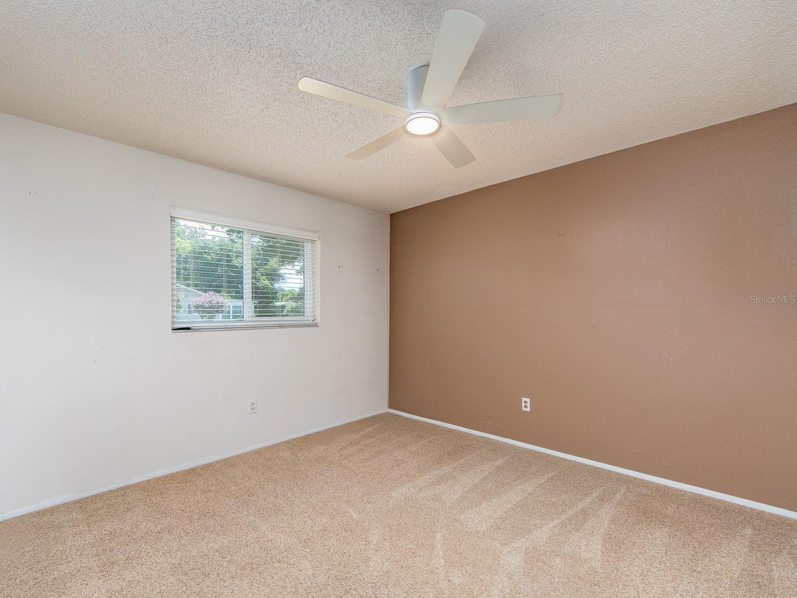 2nd Bed - 1009 QUEEN ANNE DR #B, PALM HARBOR