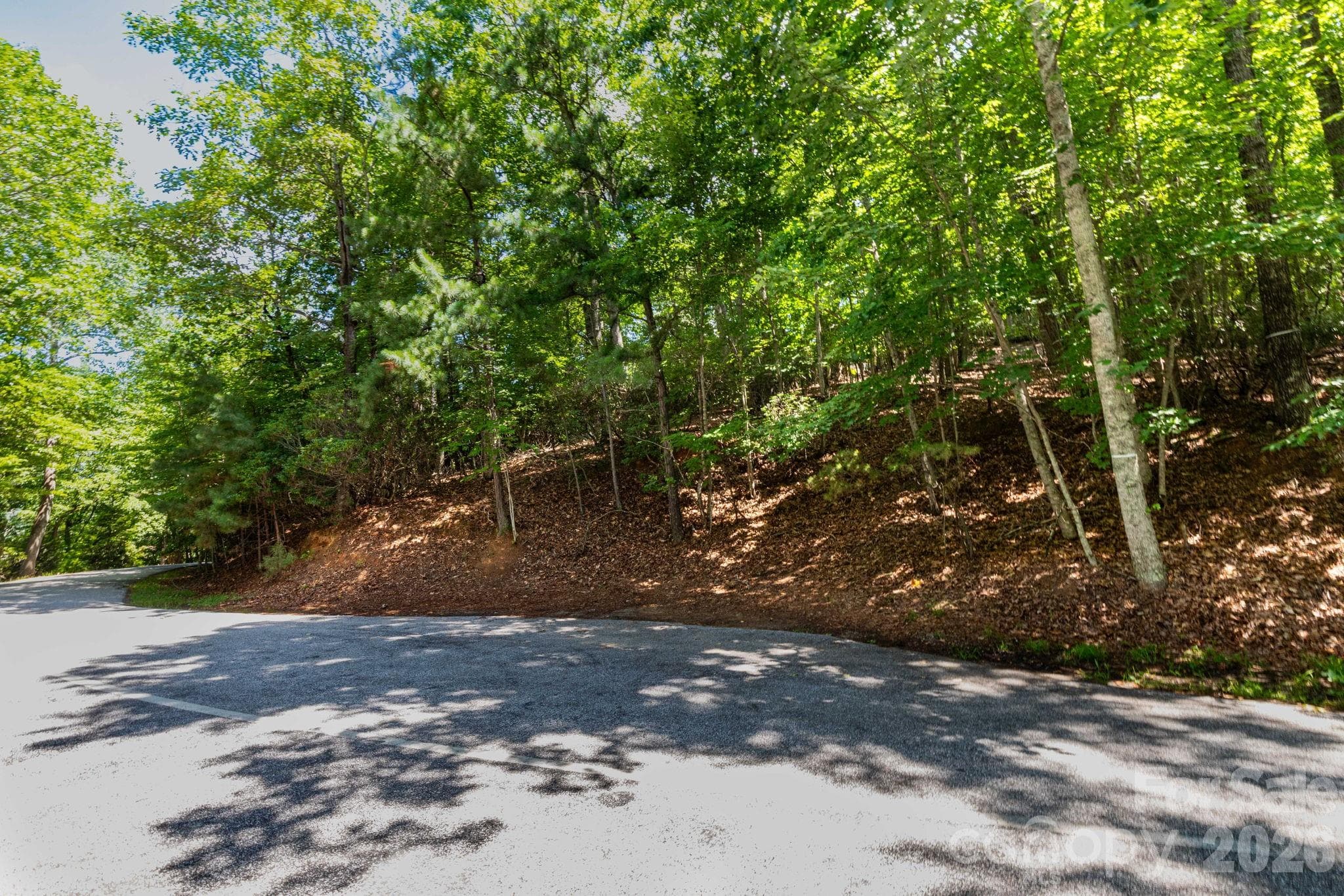 Lot at 50 Cedar Drive, Mills River, photo 2 of 12