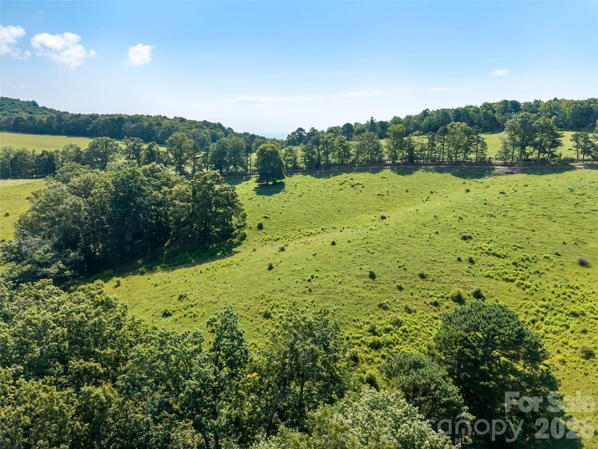 Acreage at 0 Summer Road, Hendersonville, photo 2 of 20
