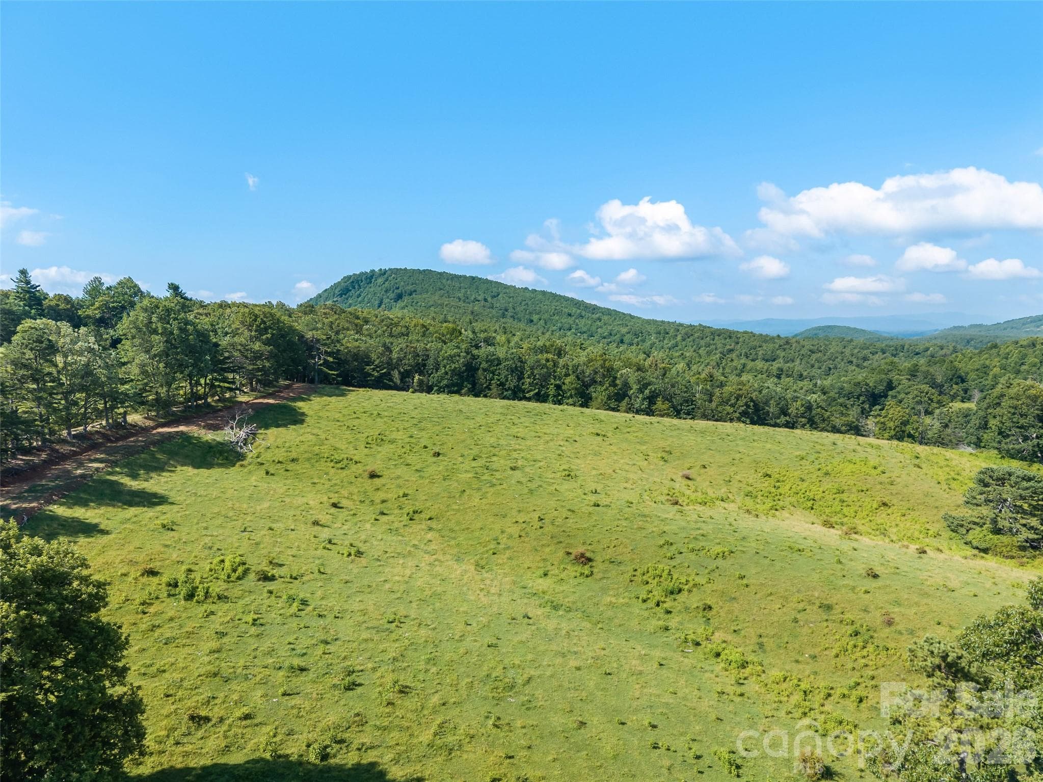 Acreage at 0 Summer Road, Hendersonville, photo 3 of 20
