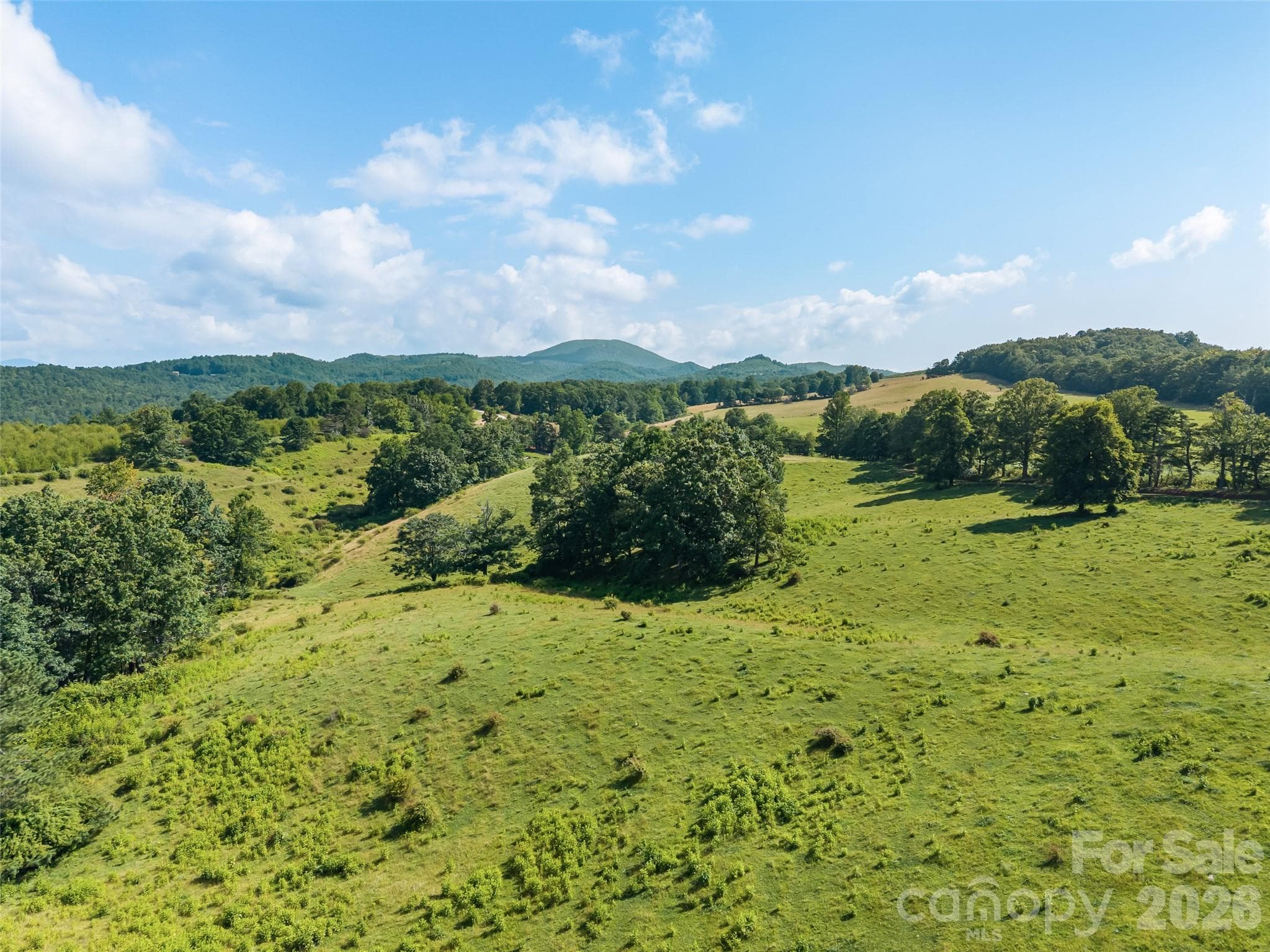 Acreage at 0 Summer Road, Hendersonville, photo 17 of 20