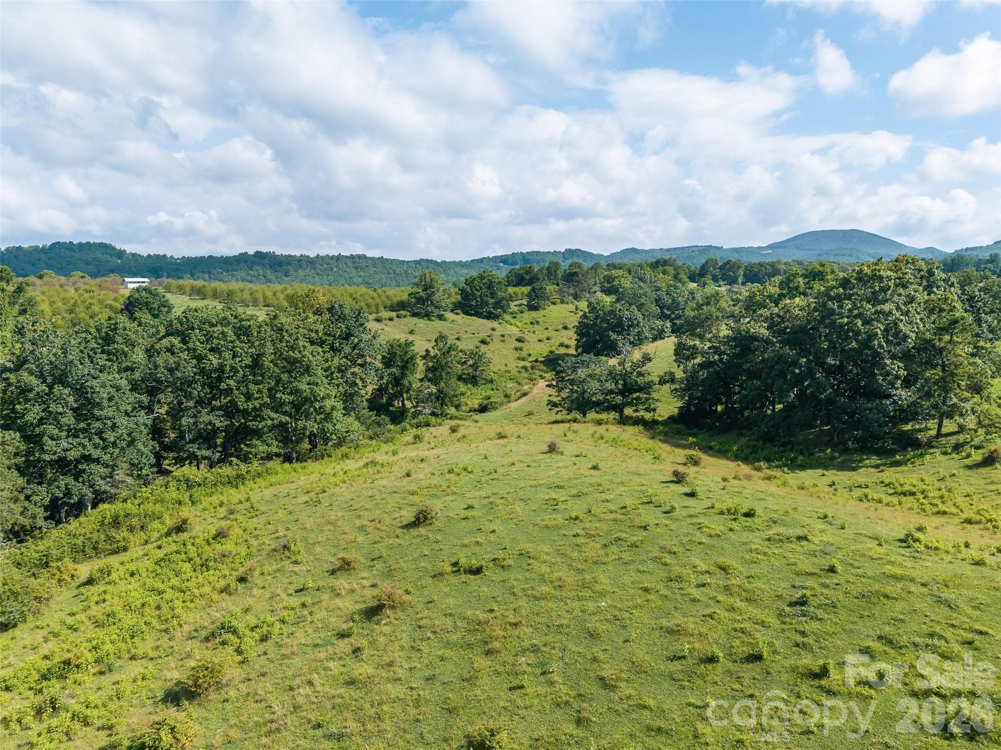 Acreage at 0 Summer Road, Hendersonville, photo 19 of 20