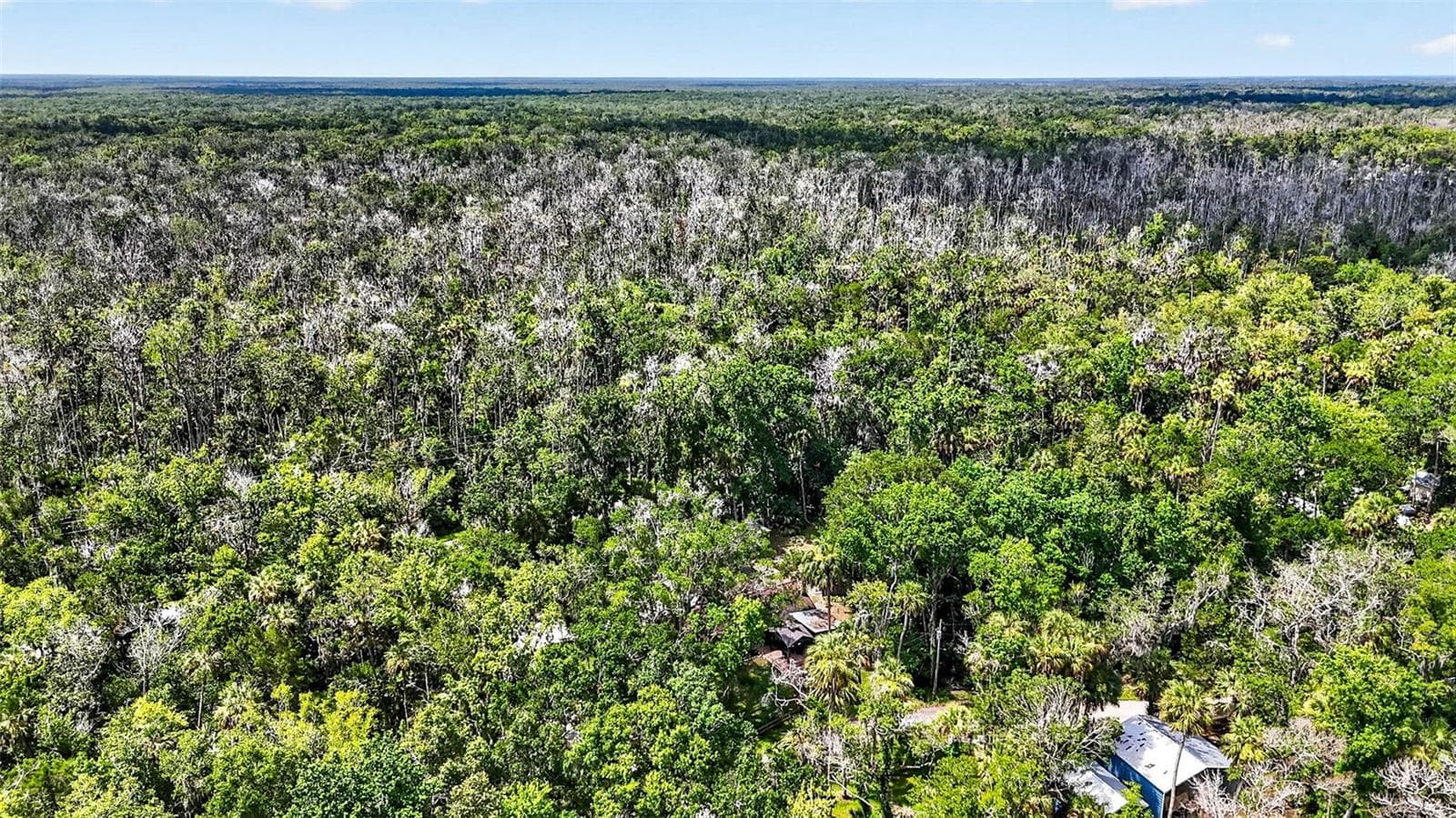 Single Family Residence at 4600 S LEWOODS DR, HOMOSASSA, photo 86 of 88