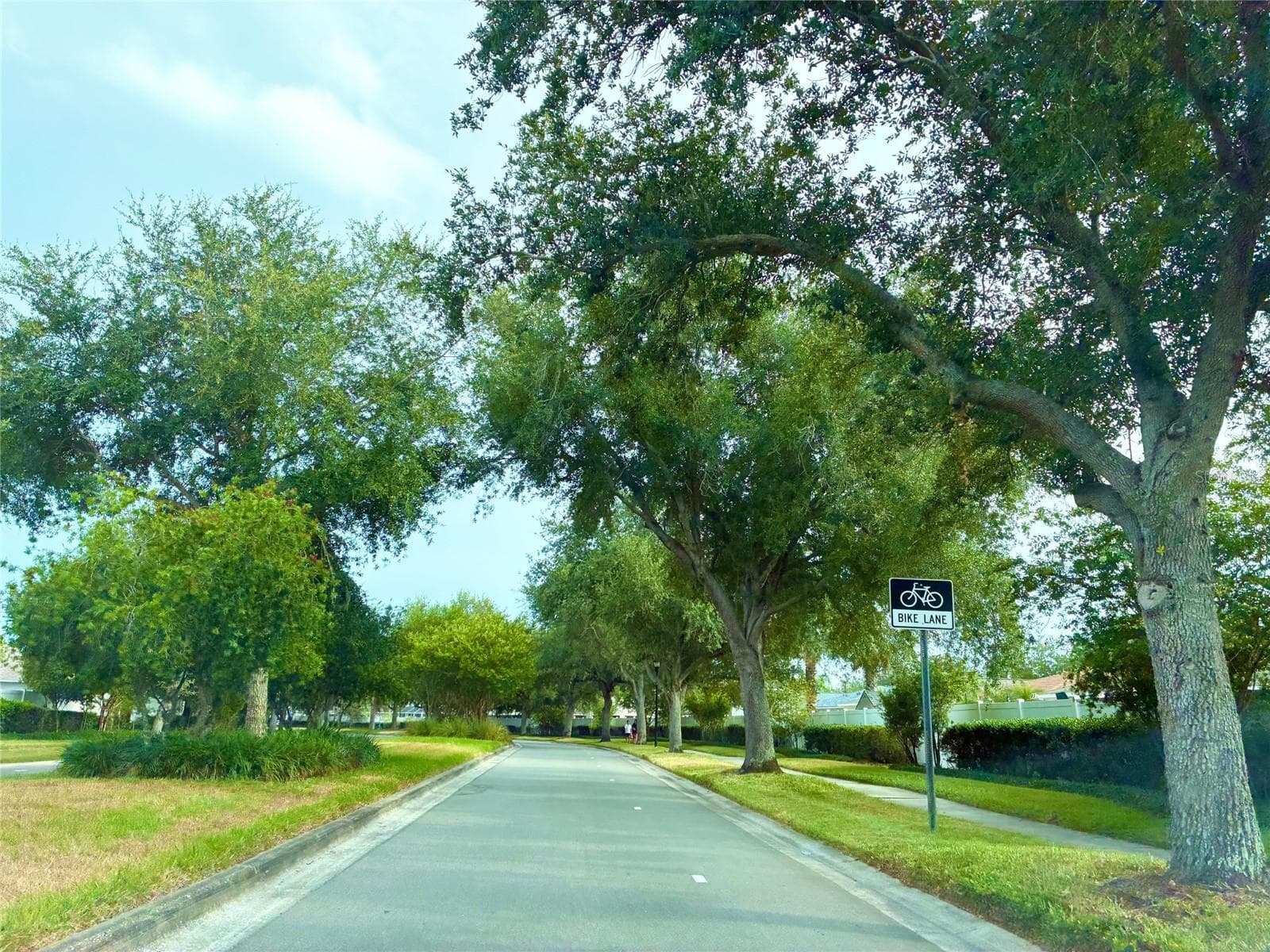 community bike lanes - 8026 CARRIAGE POINTE DRIVE, GIBSONTON