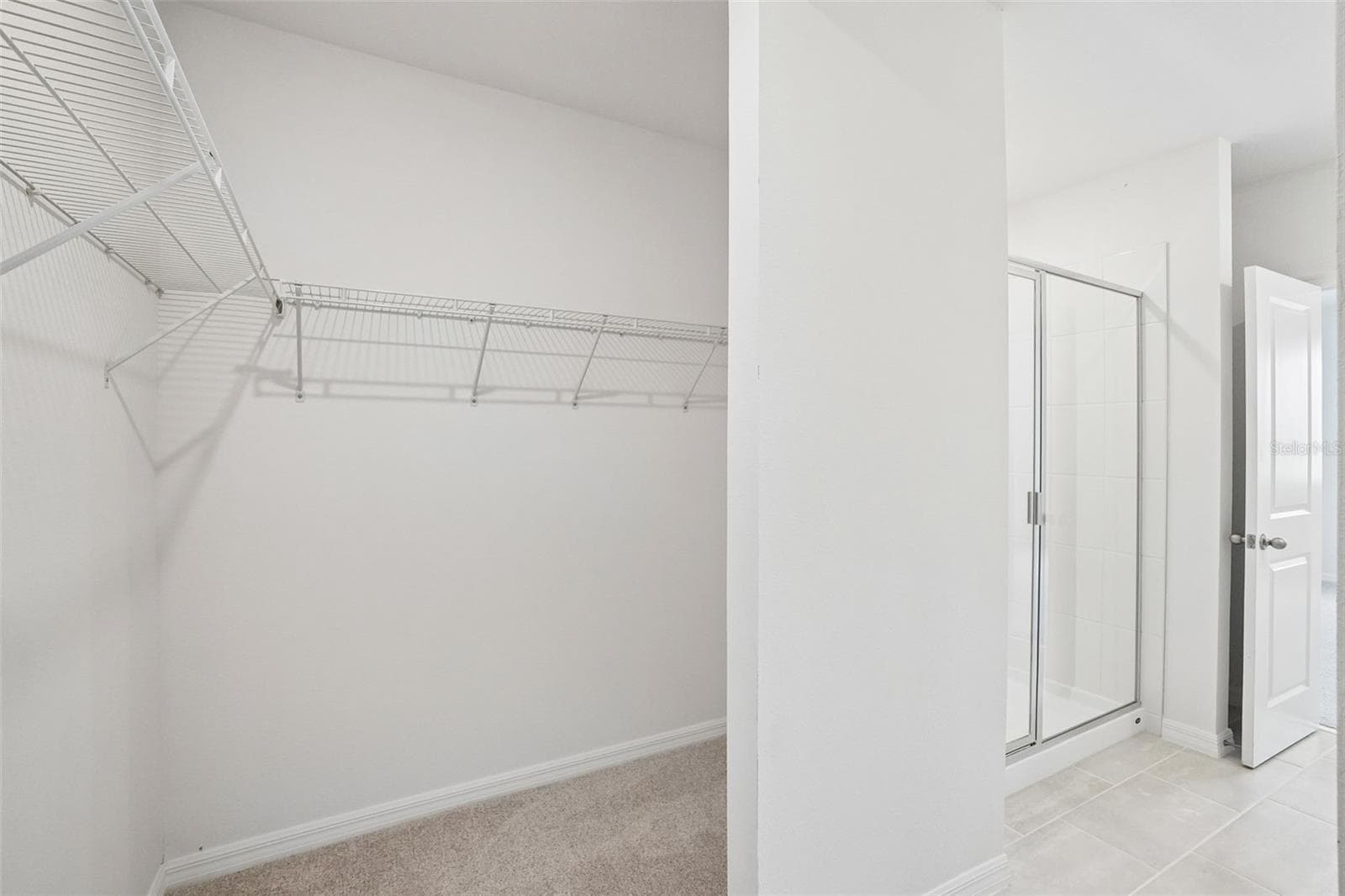 Single Family Residence at 13696 UMBER FOREST ST, HUDSON, photo 34 of 39