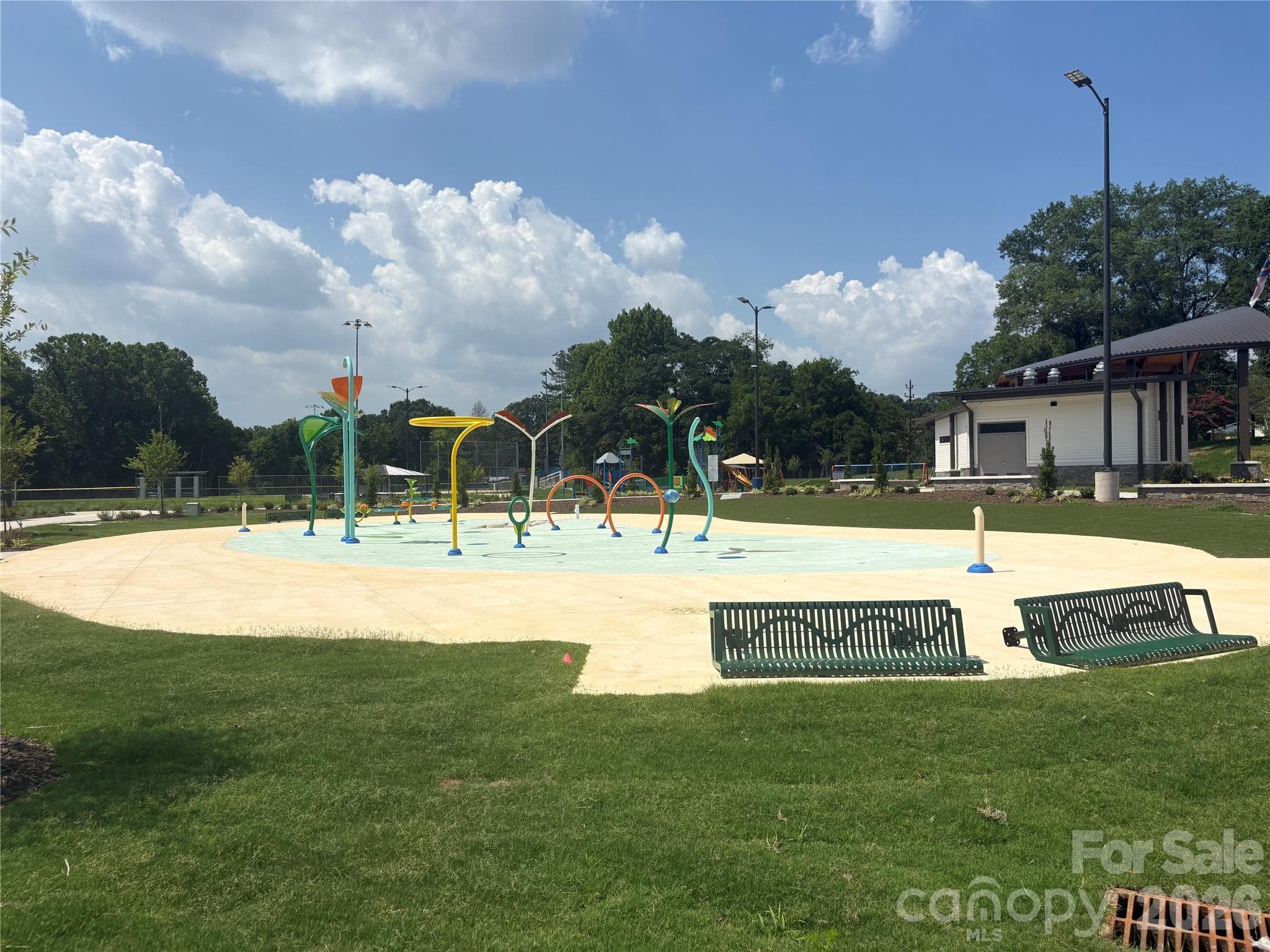Sprayground - Concord